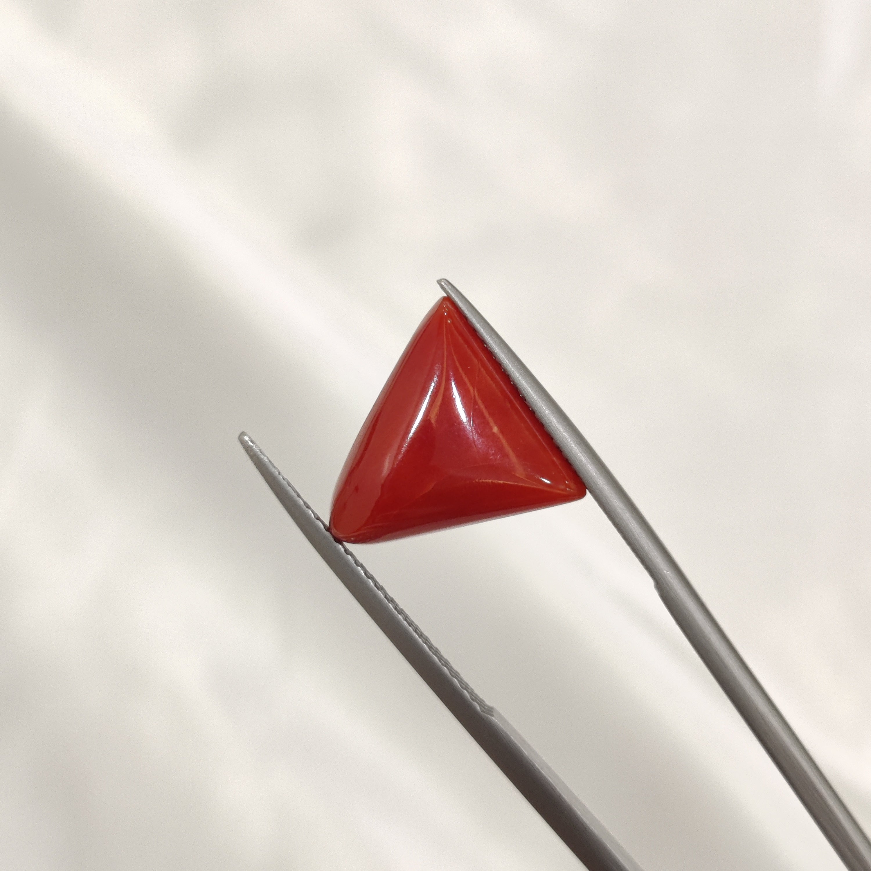 Coral | CORAL 138 | 6.62 Carat