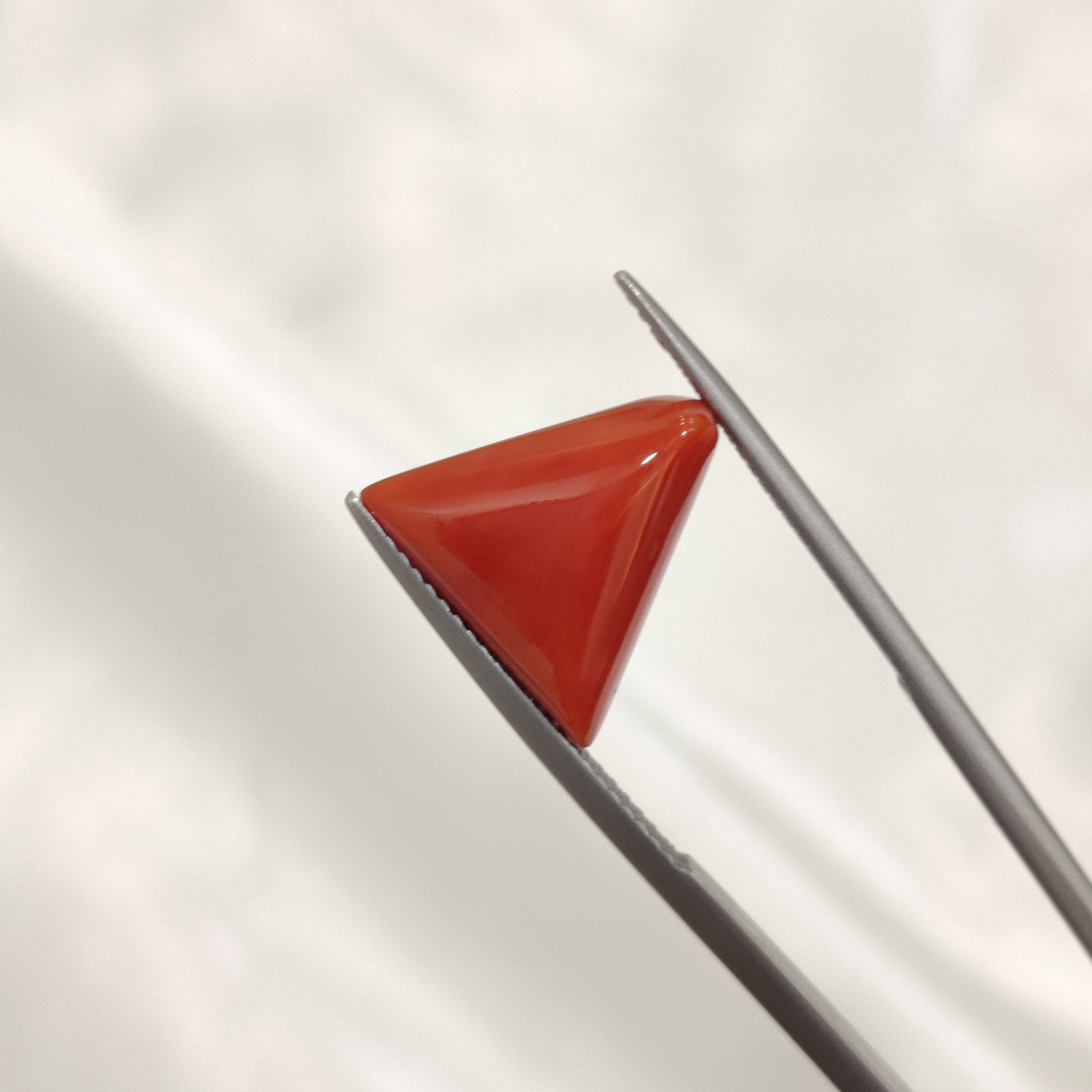 Coral | CORAL 137 | 7.28 Carat