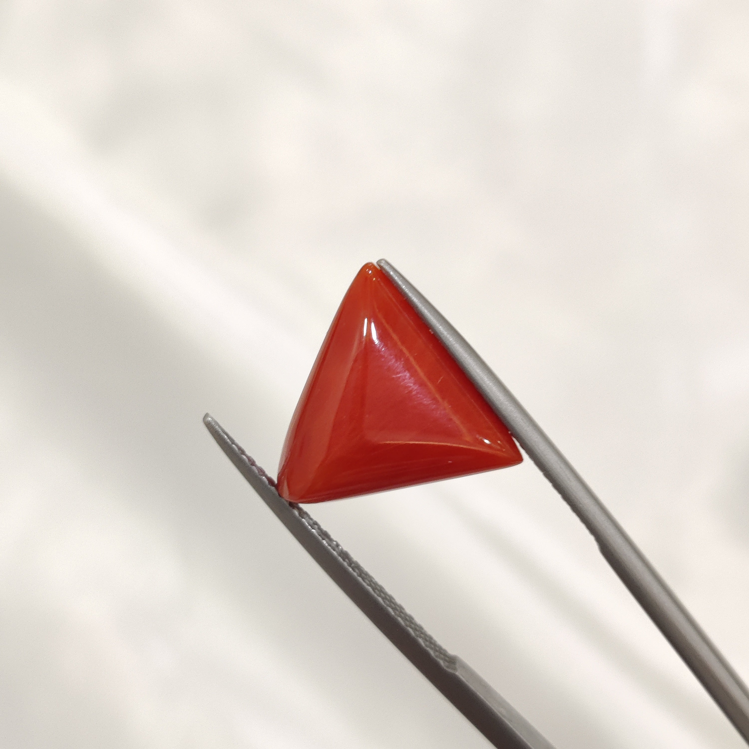 Coral | CORAL 141 | 6.19 Carat