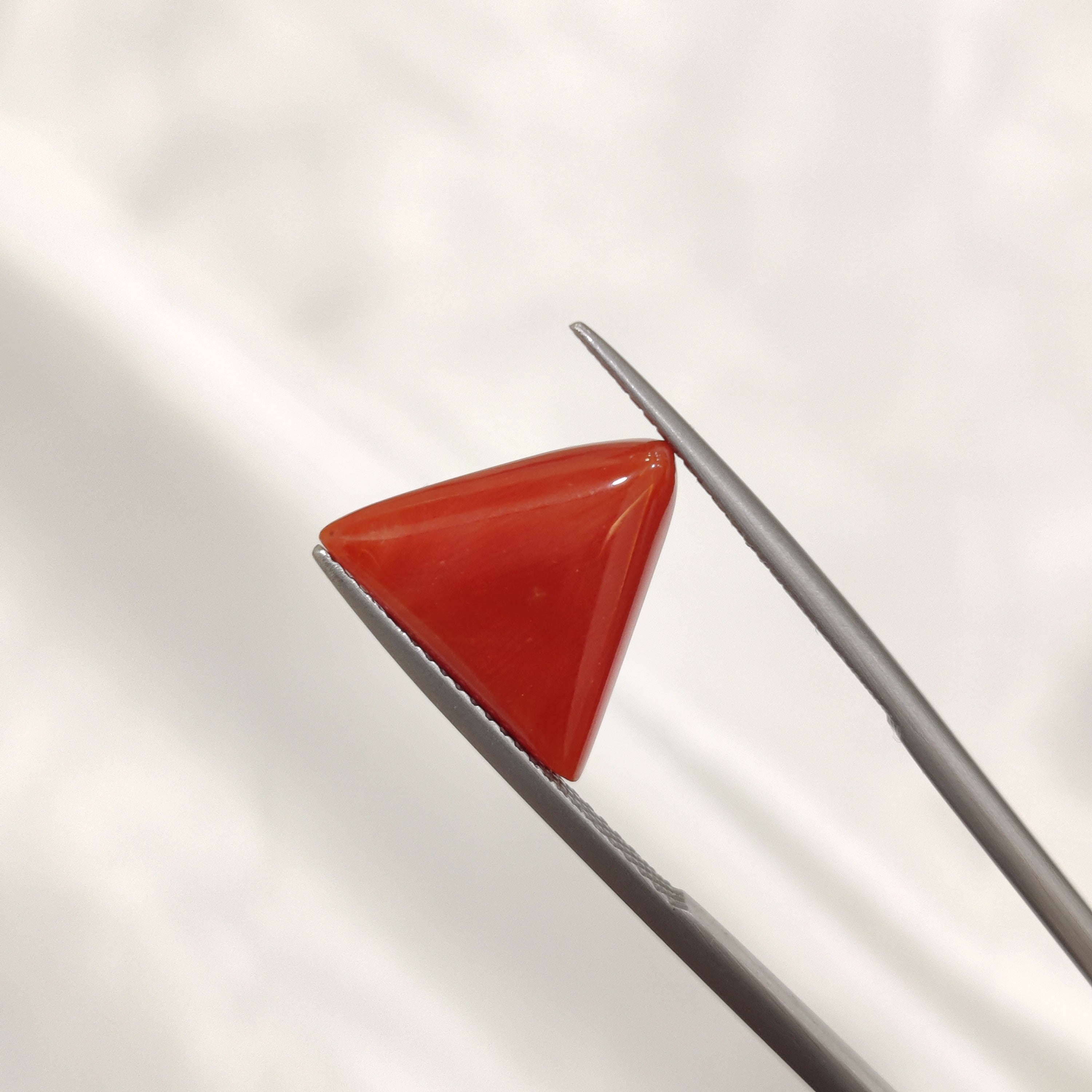 Coral | CORAL 141 | 6.19 Carat