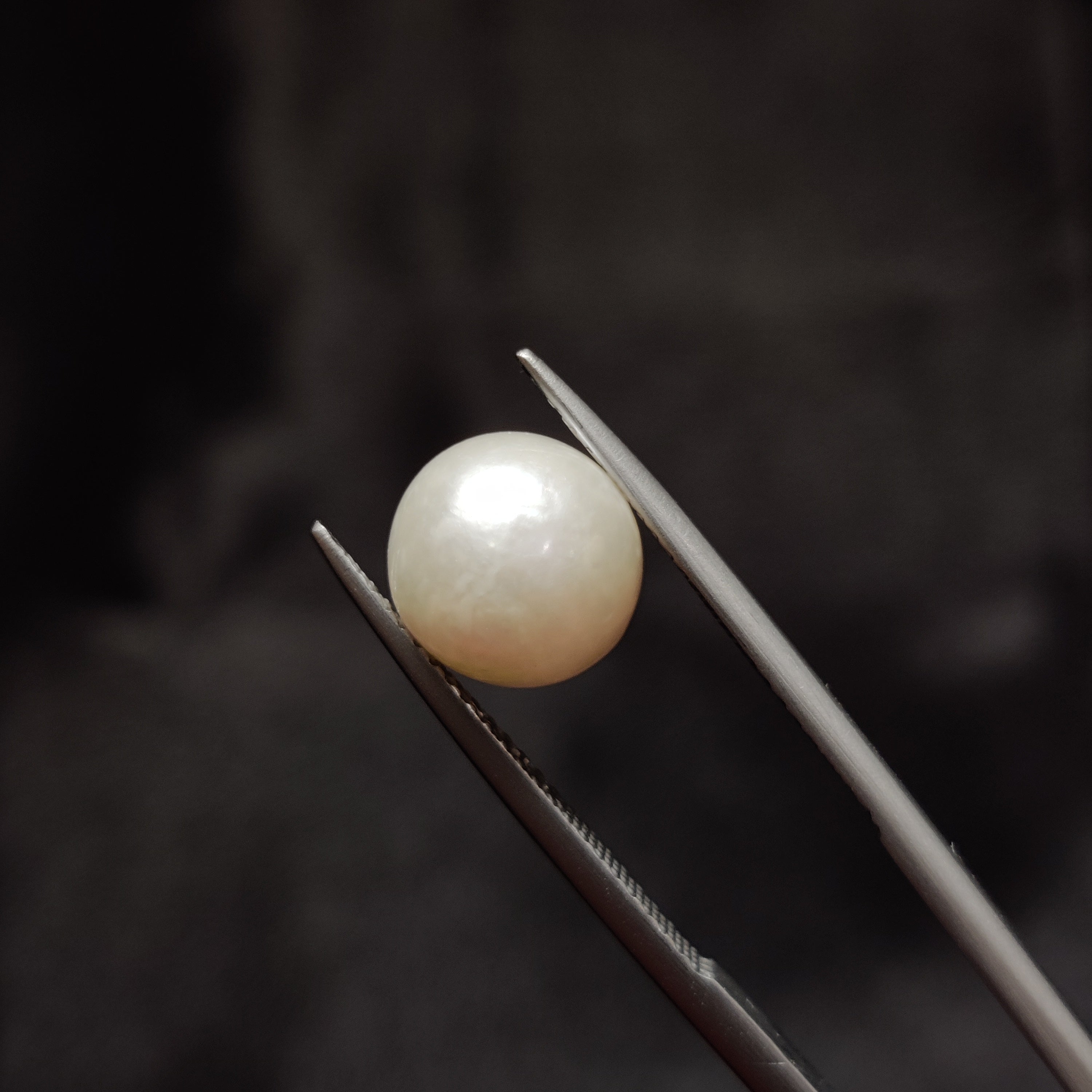 Pearl | Pearl 337 | 5.4 Carat