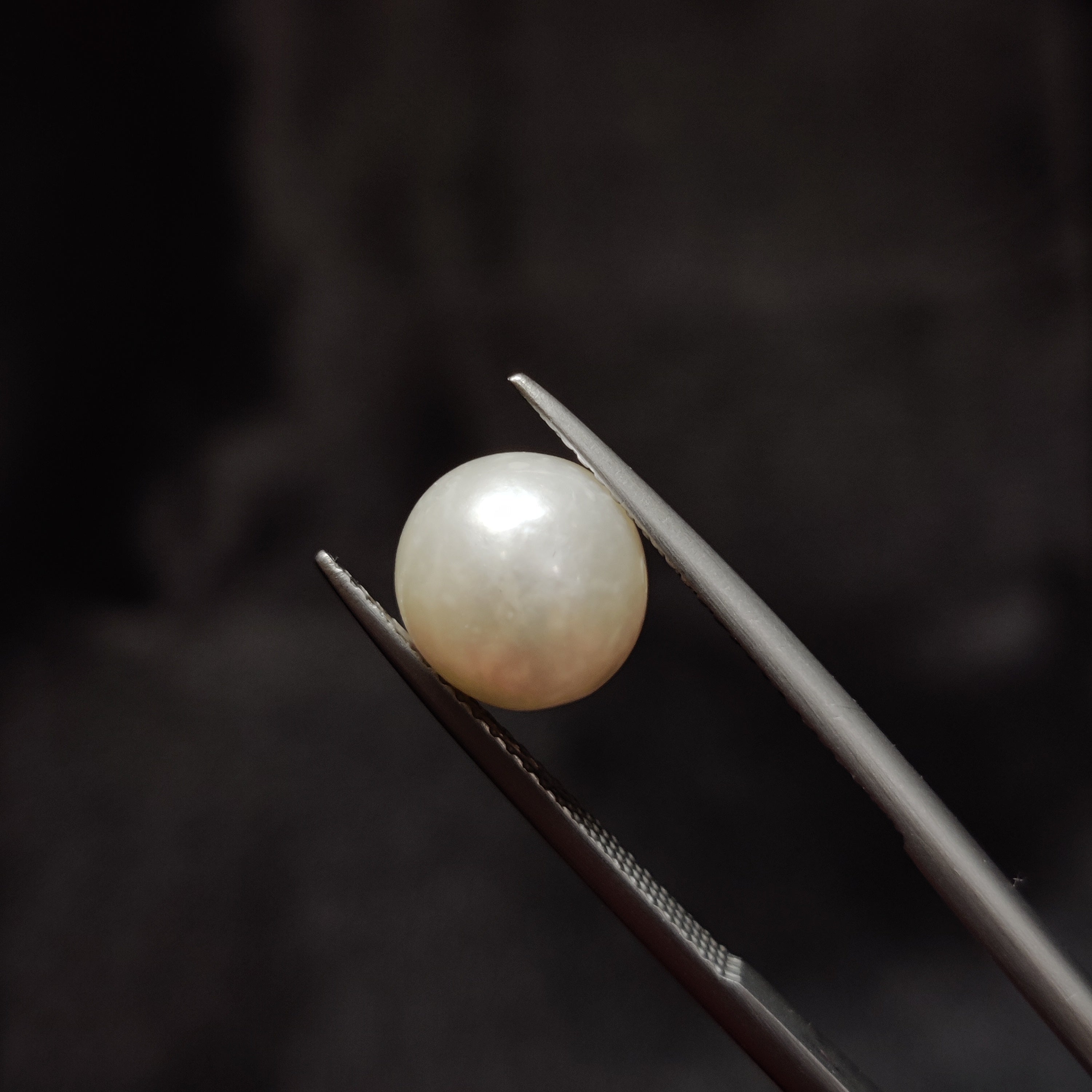 Pearl | Pearl 337 | 5.4 Carat