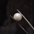 Pearl | Pearl 356 | 5.55 Carat