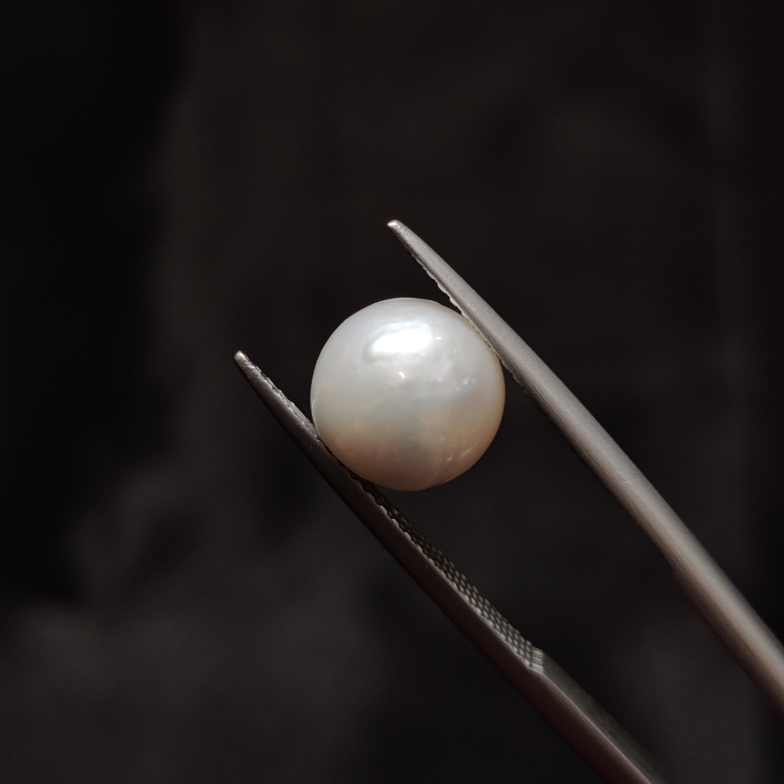 Pearl | Pearl 356 | 5.55 Carat