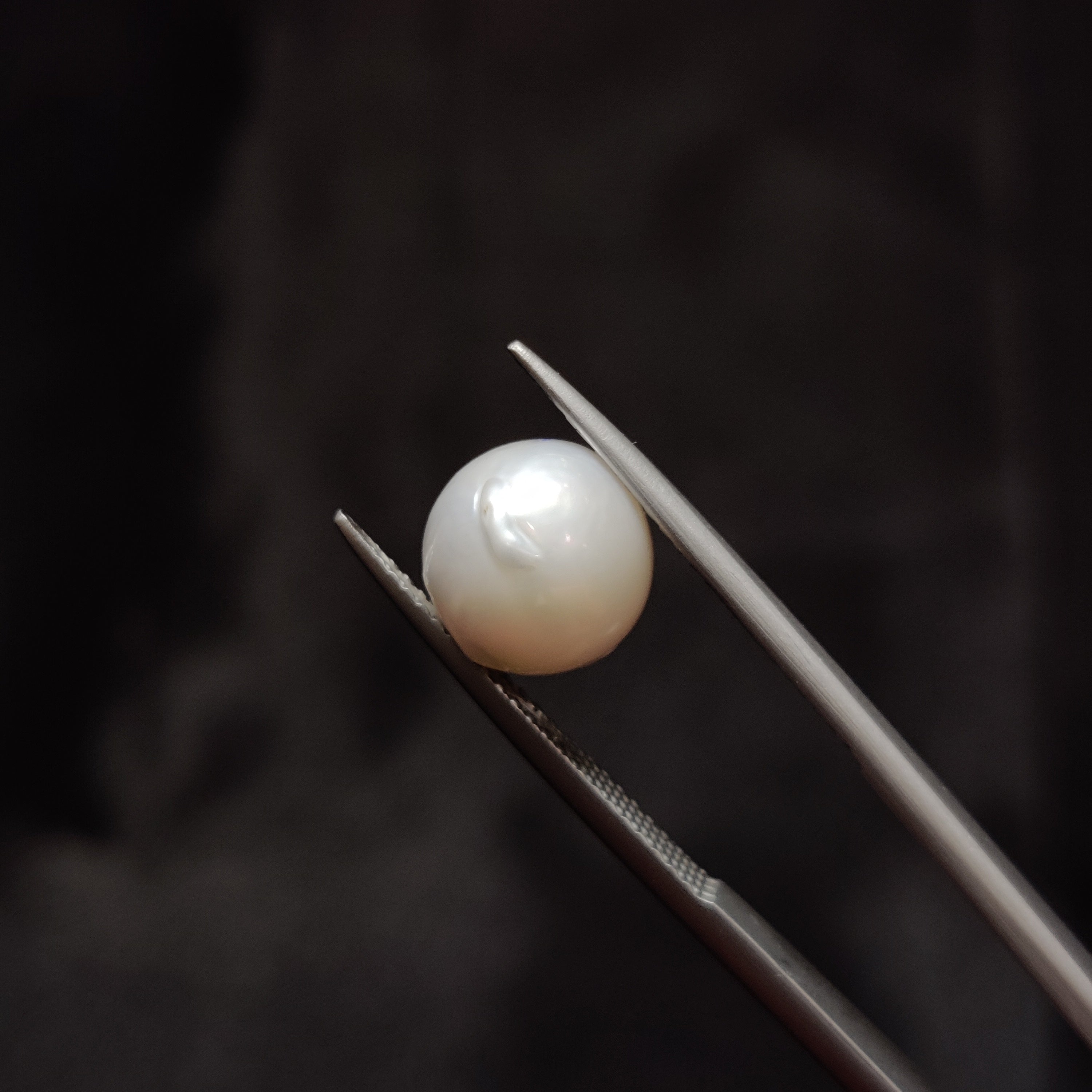 Pearl | Pearl 356 | 5.55 Carat