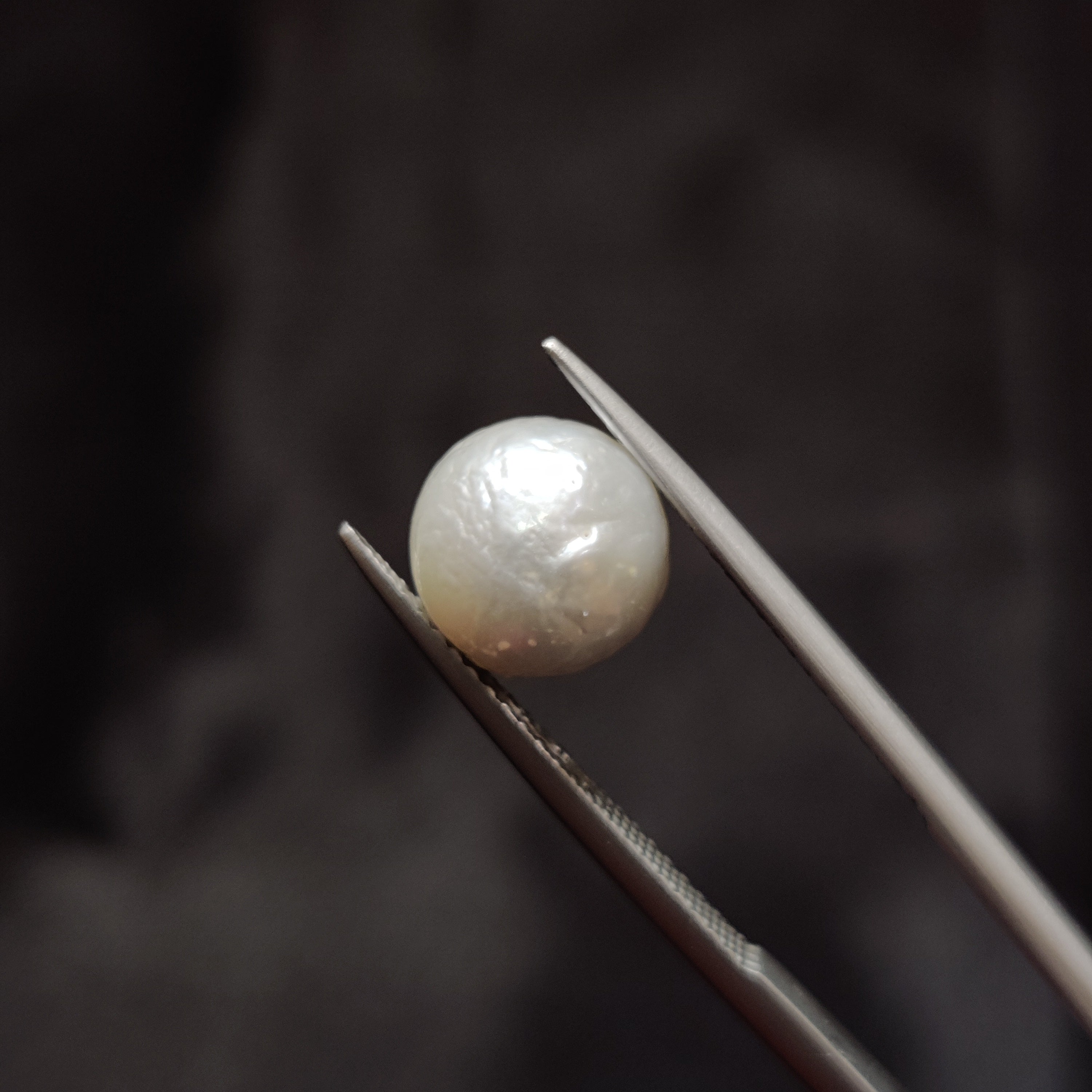 Pearl | Pearl 341 | 5.27 Carat