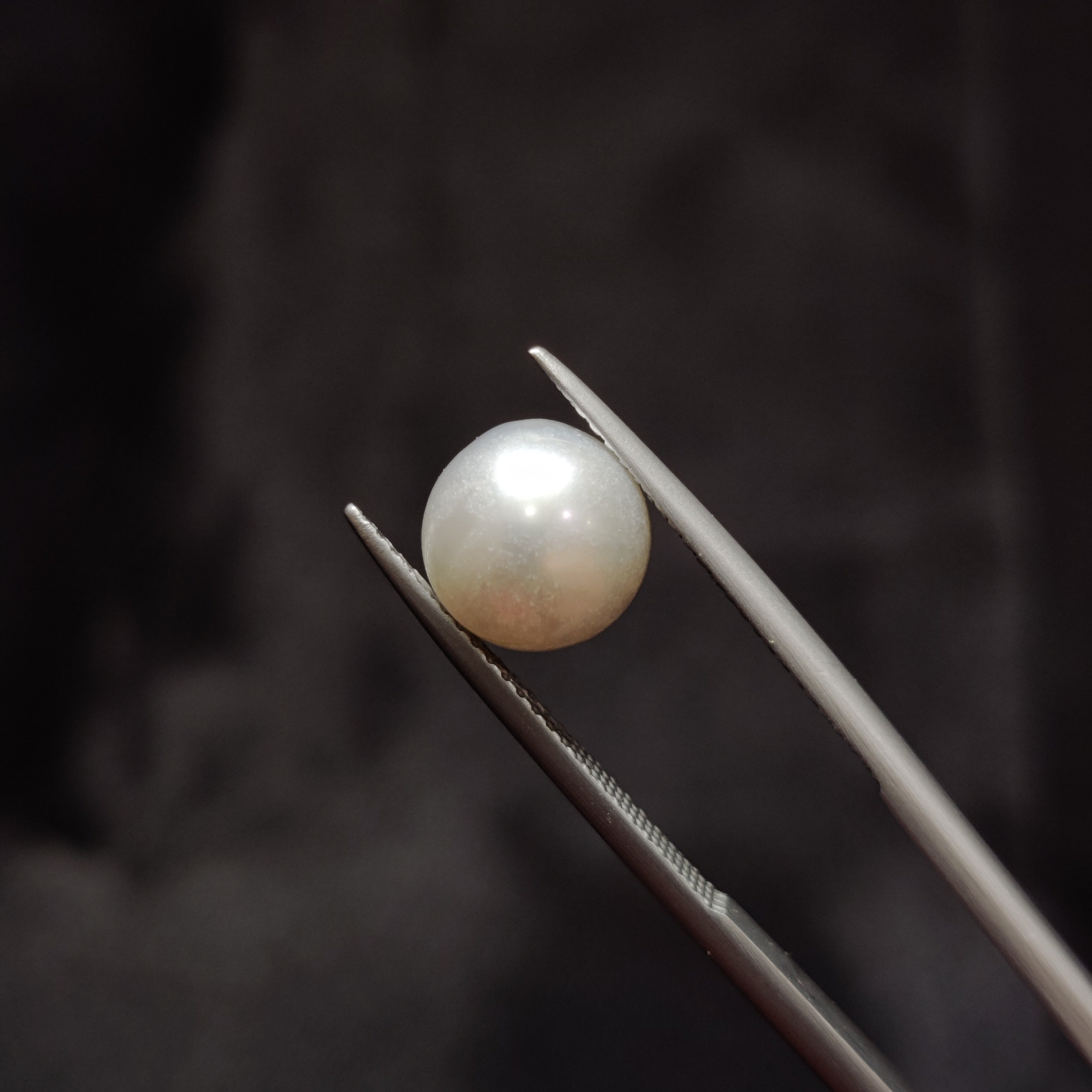 Pearl | Pearl 333 | 4.91 Carat