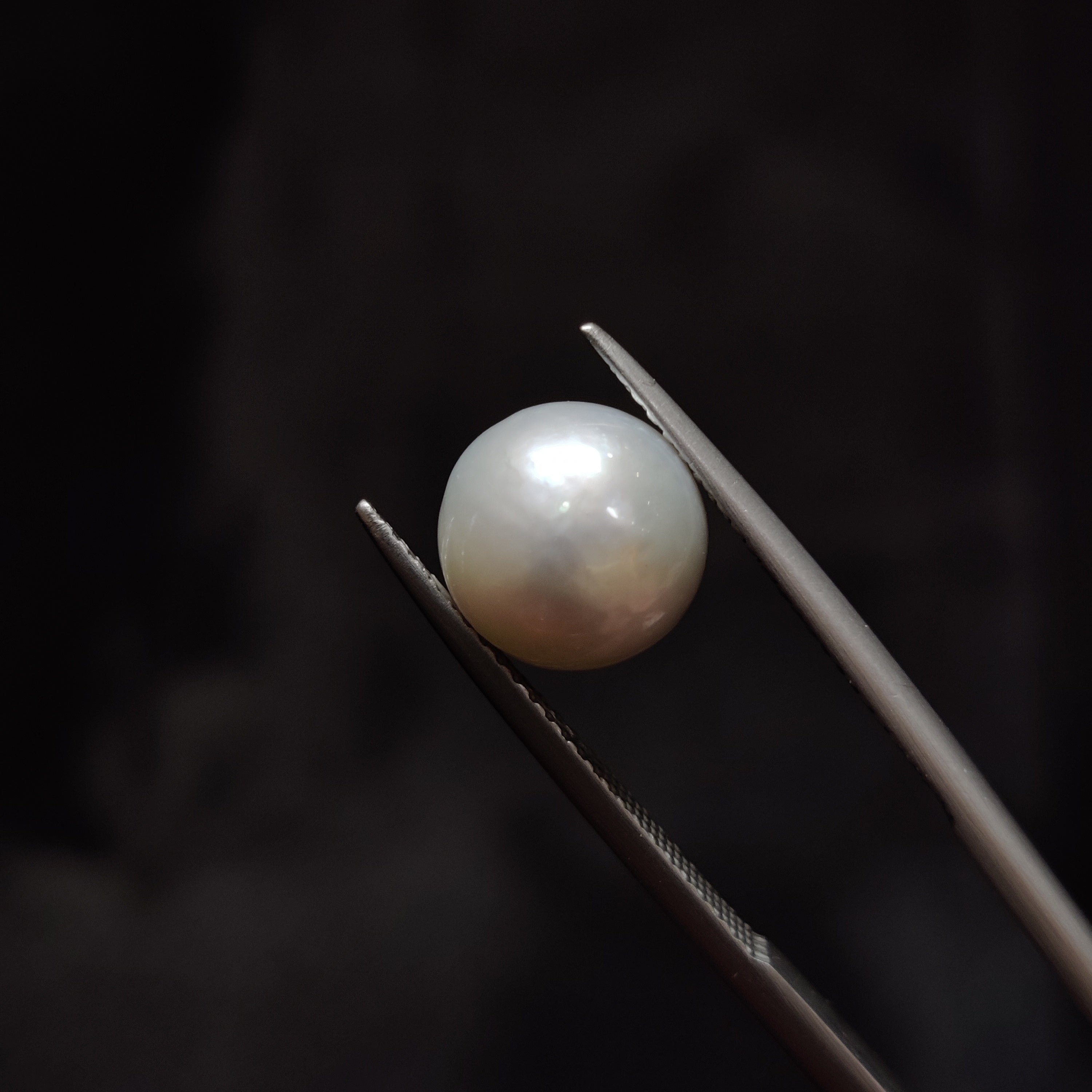 Pearl | Pearl 359 | 5.68 Carat