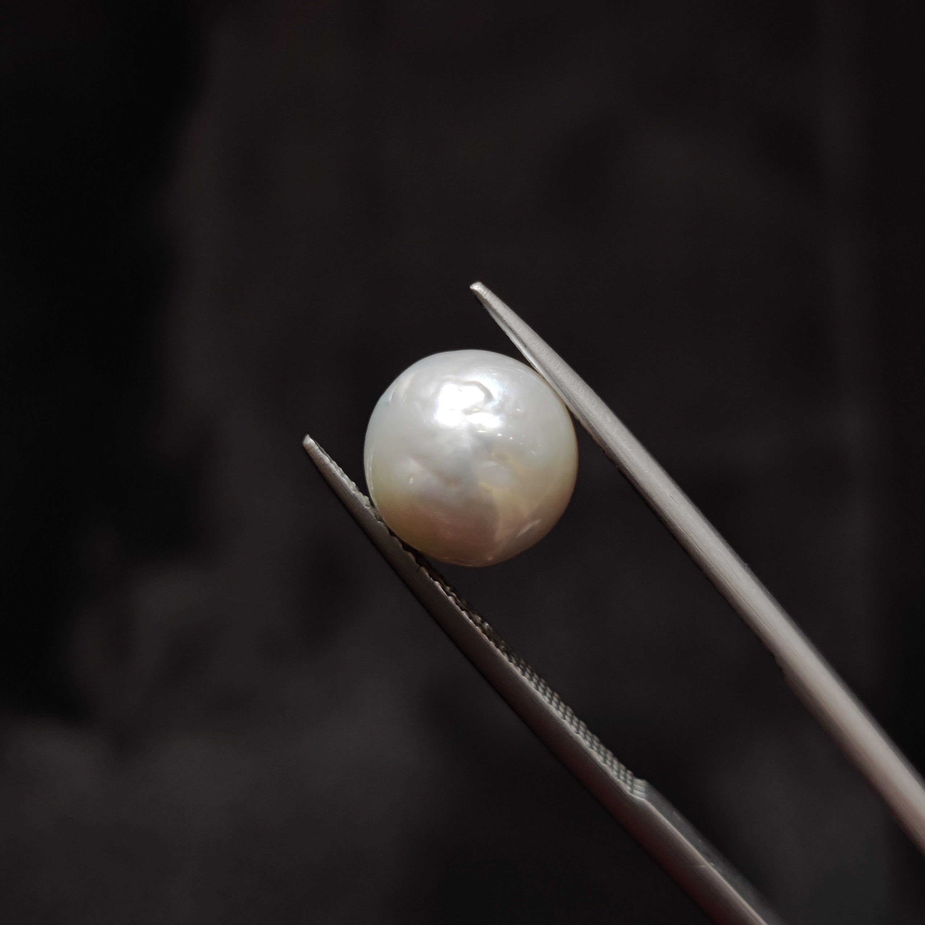 Pearl | Pearl 359 | 5.68 Carat