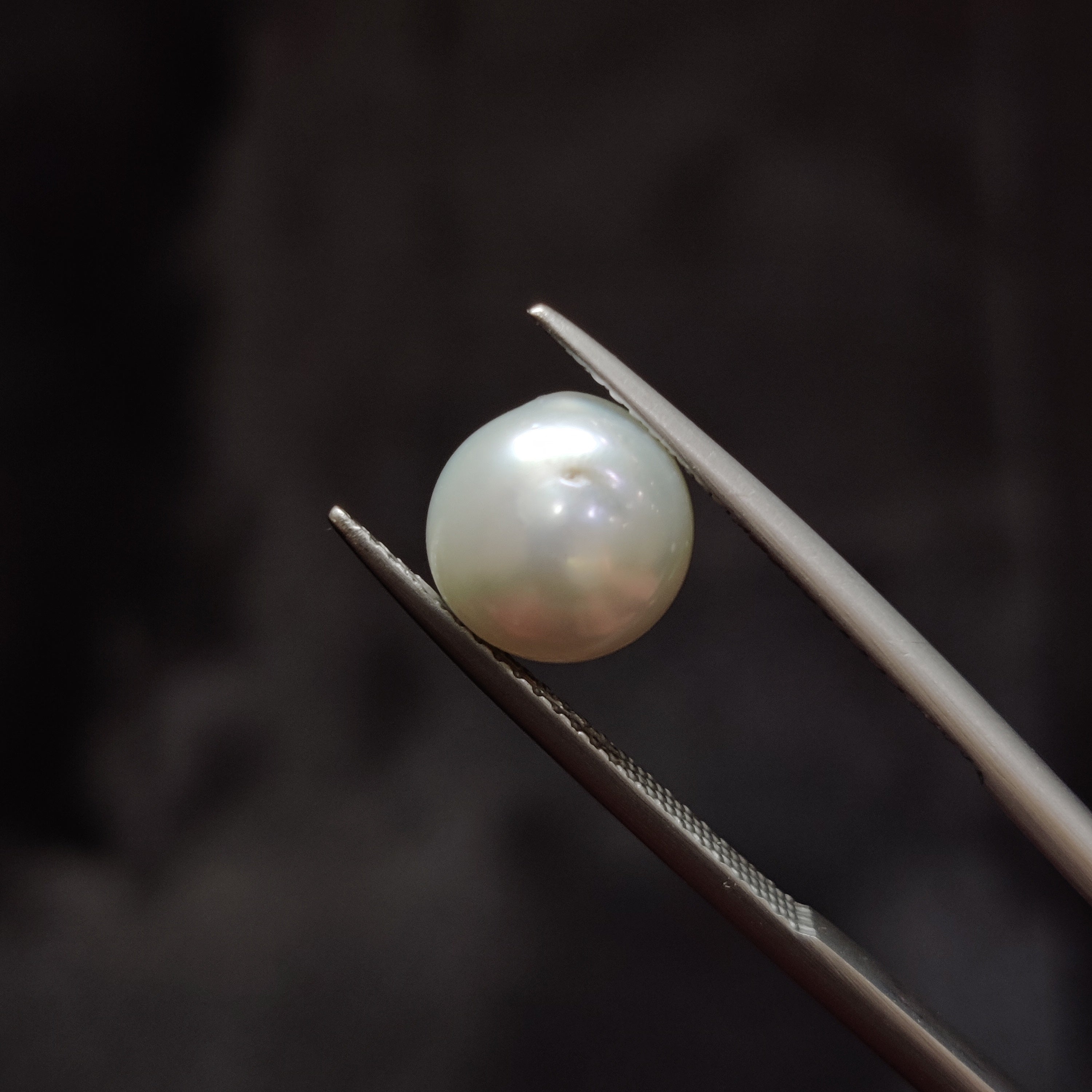 Pearl | Pearl 338 | 4.09 Carat