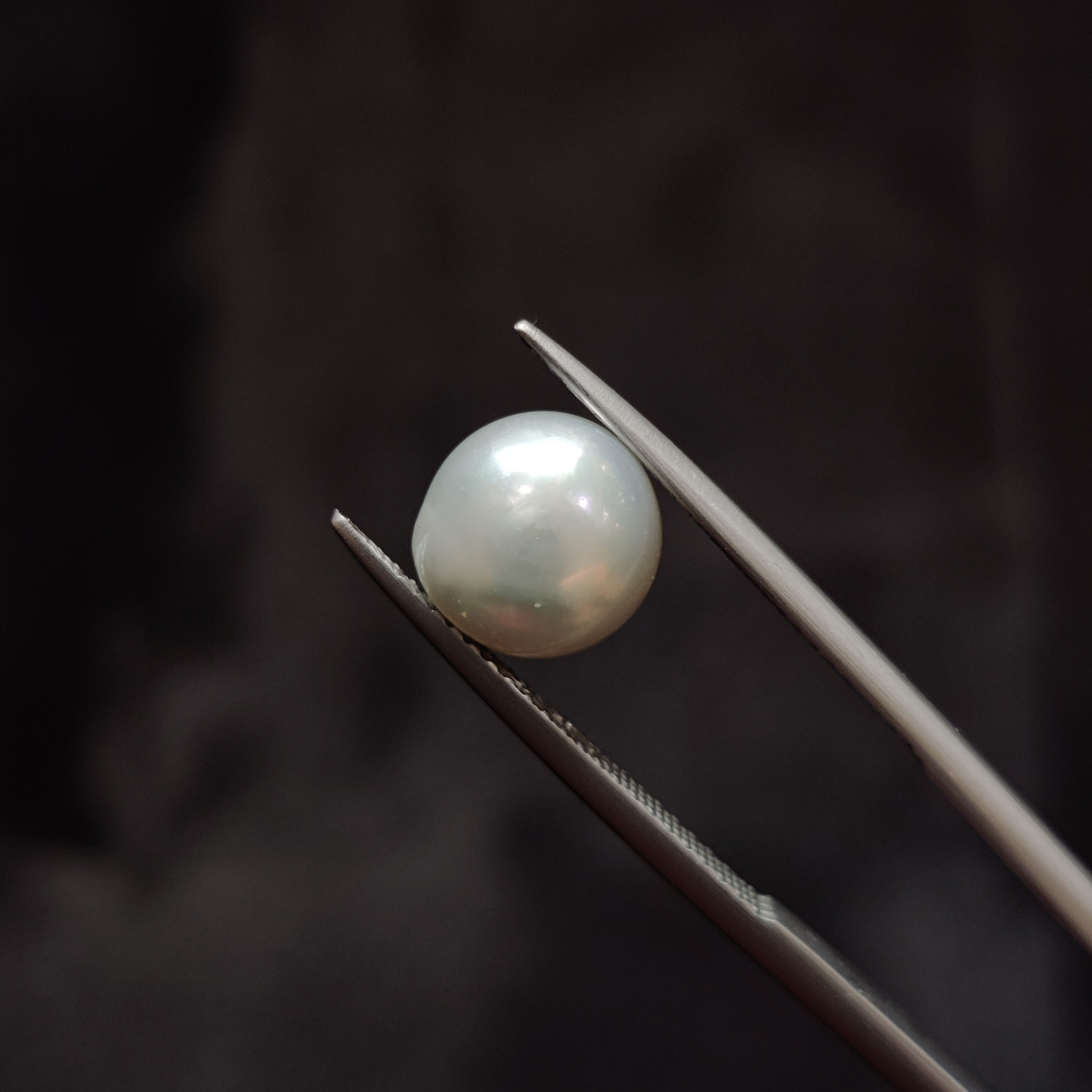 Pearl | Pearl 338 | 4.09 Carat