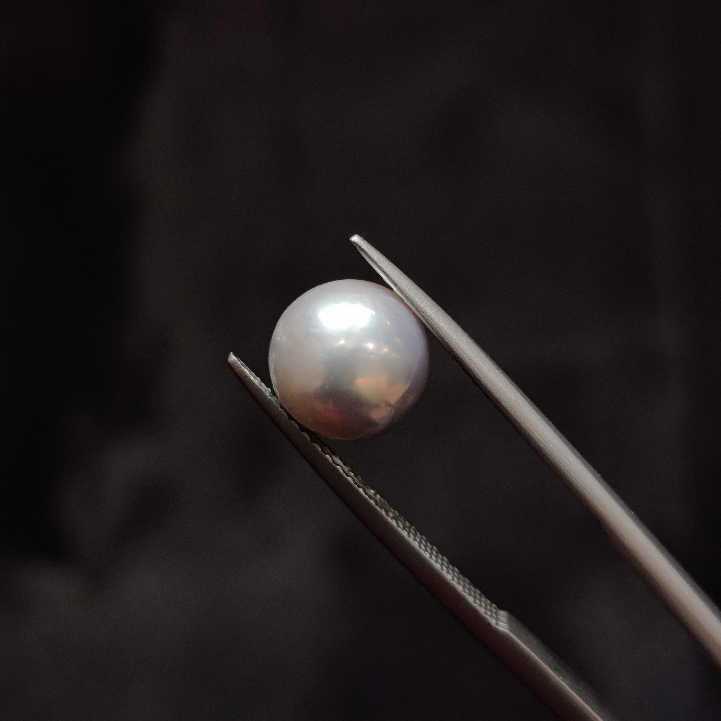 Pearl | Pearl 345 | 4.73 Carat