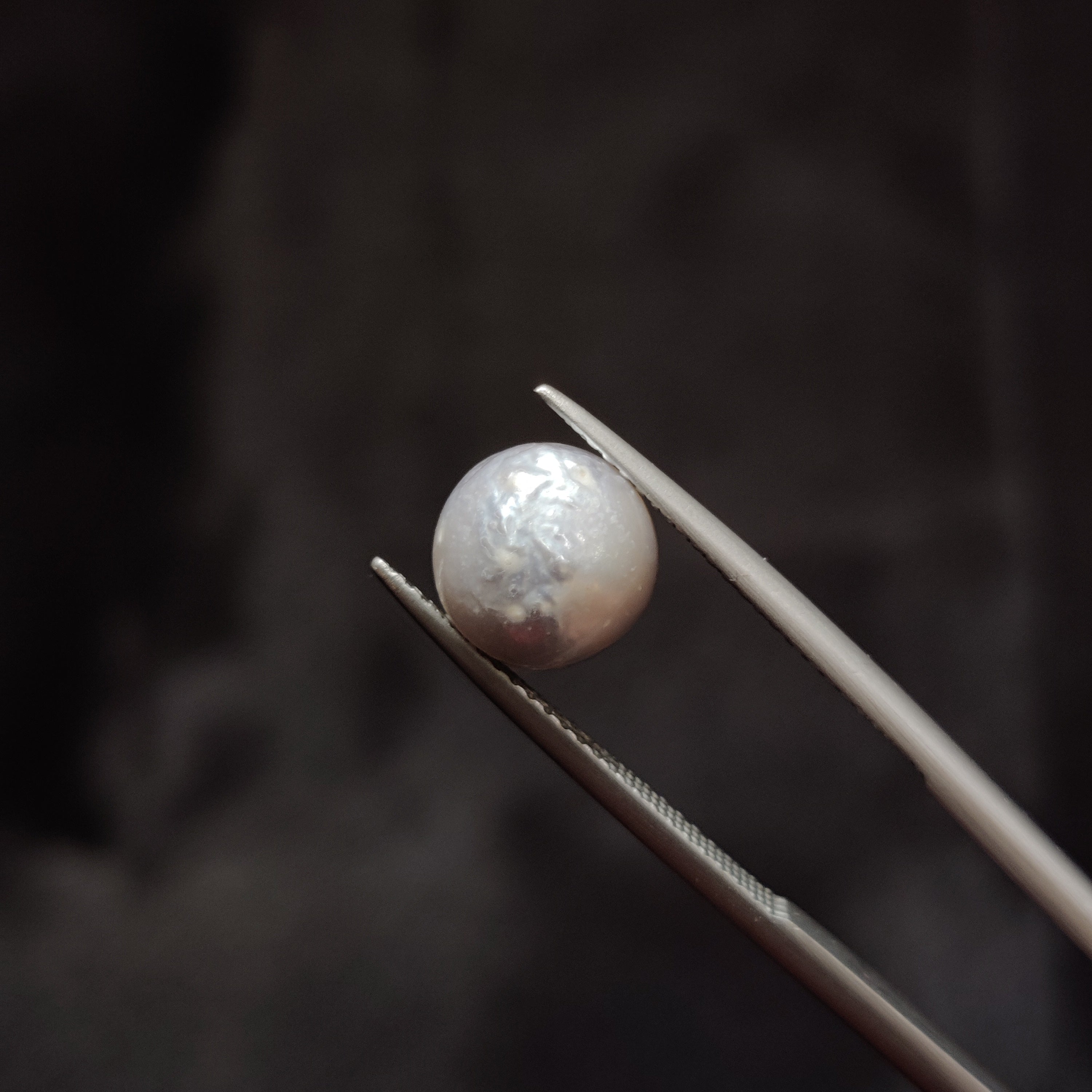 Pearl | Pearl 345 | 4.73 Carat