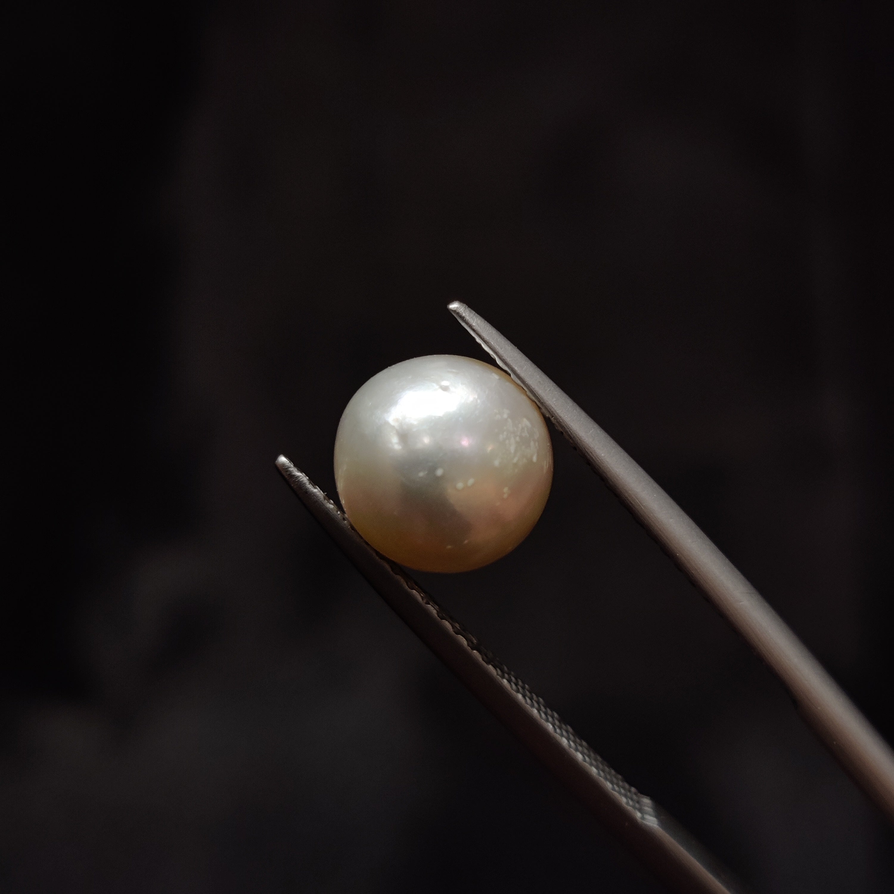 Pearl | Pearl 348 | 4.6 Carat