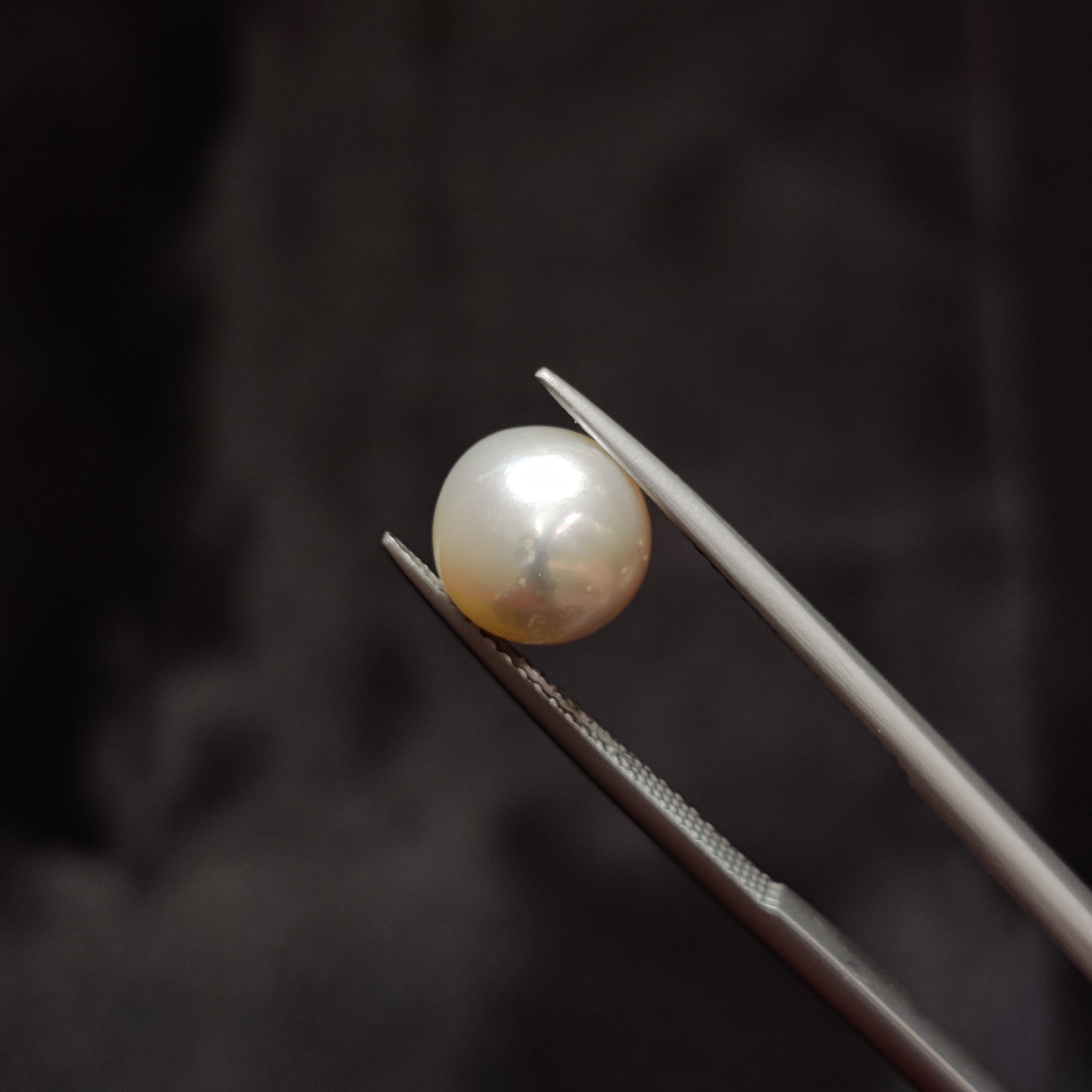 Pearl | Pearl 348 | 4.6 Carat