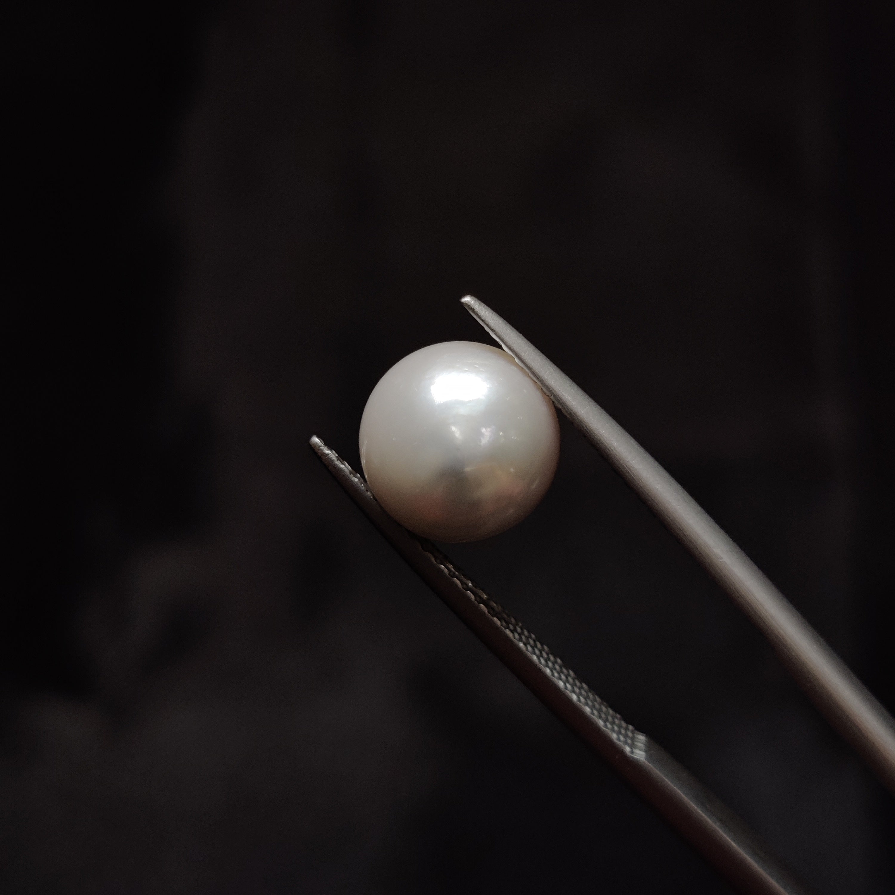 Pearl | Pearl 352 | 5.76 Carat