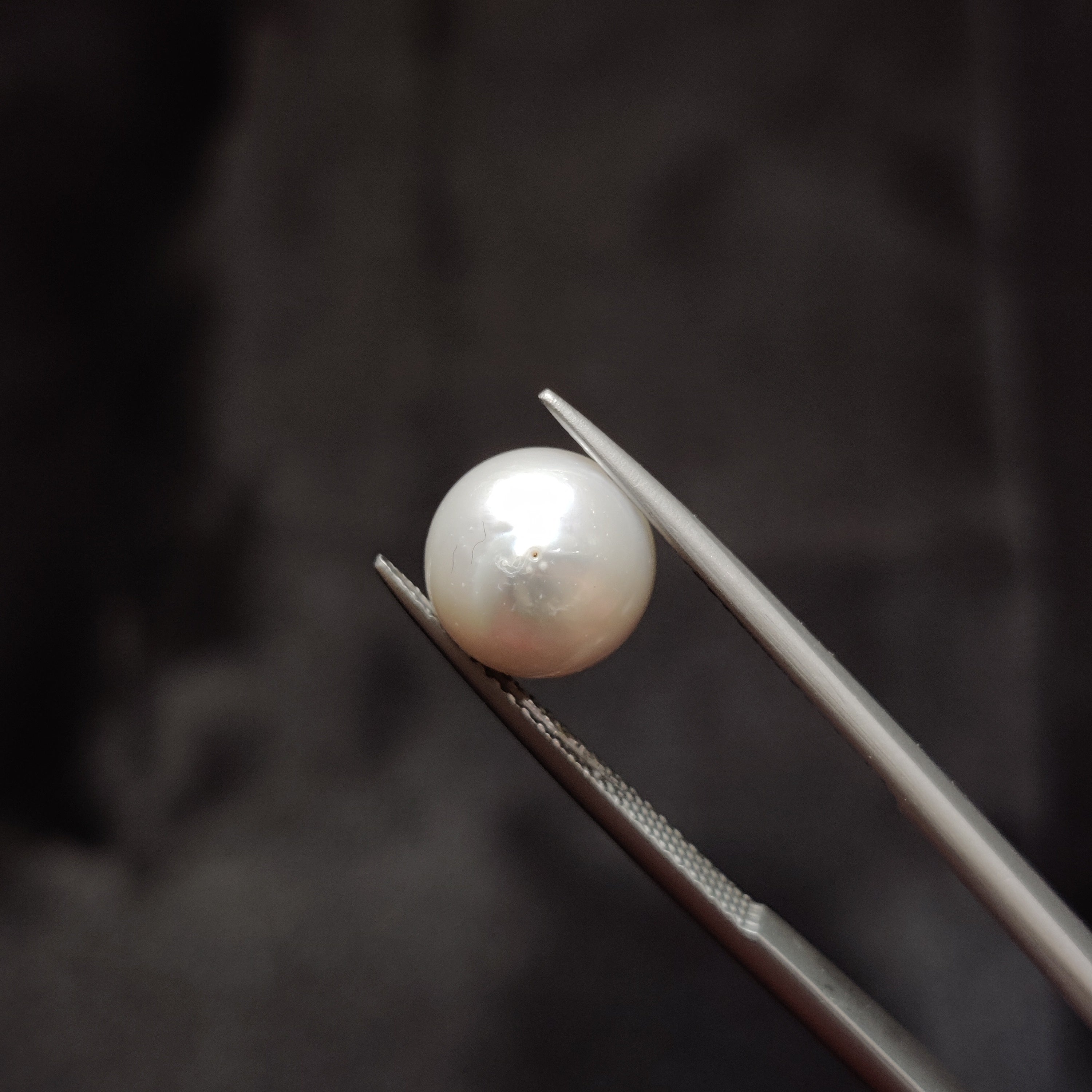 Pearl | Pearl 352 | 5.76 Carat