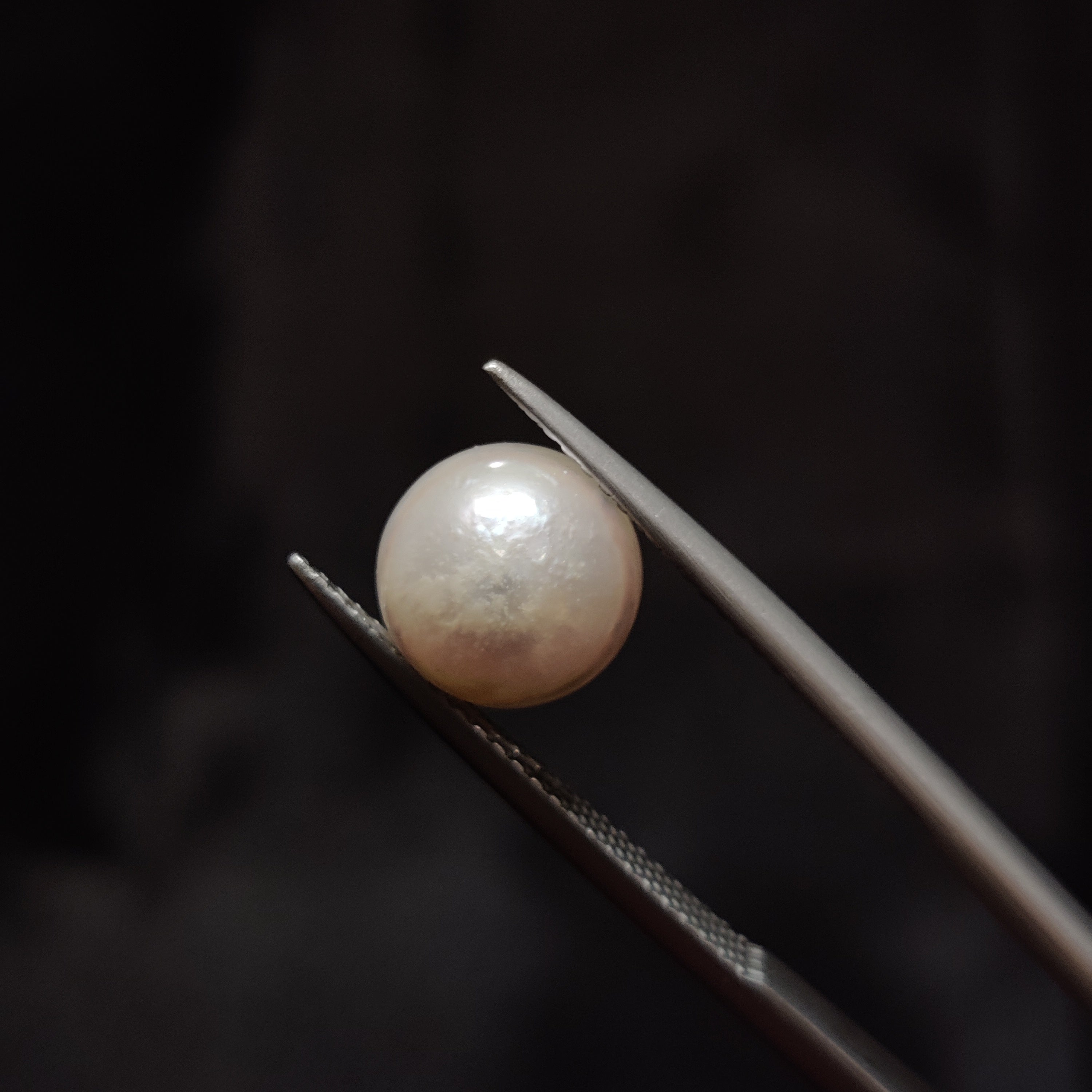 Pearl | Pearl 335 | 4.95 Carat