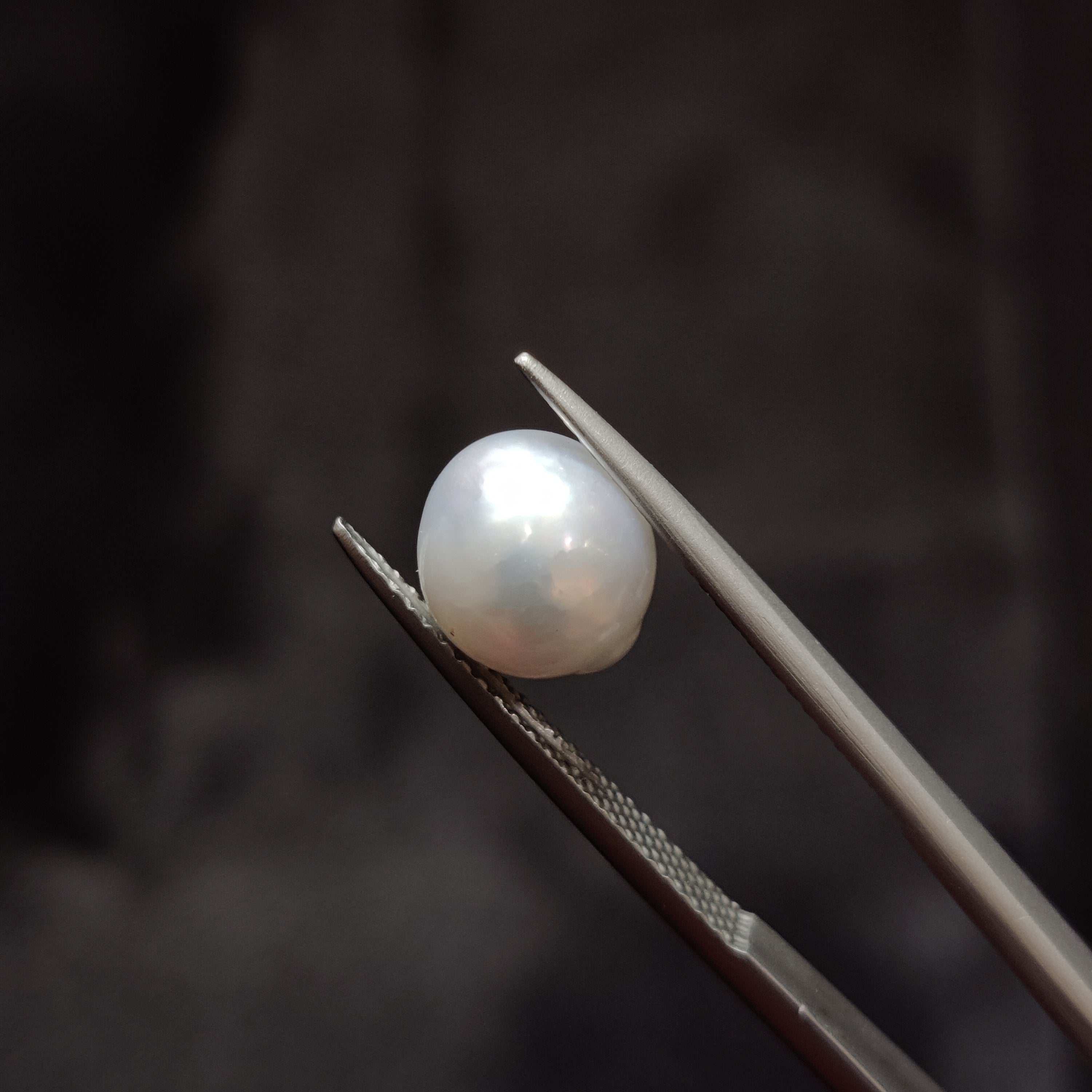 Pearl | Pearl 351 | 4.21 Carat