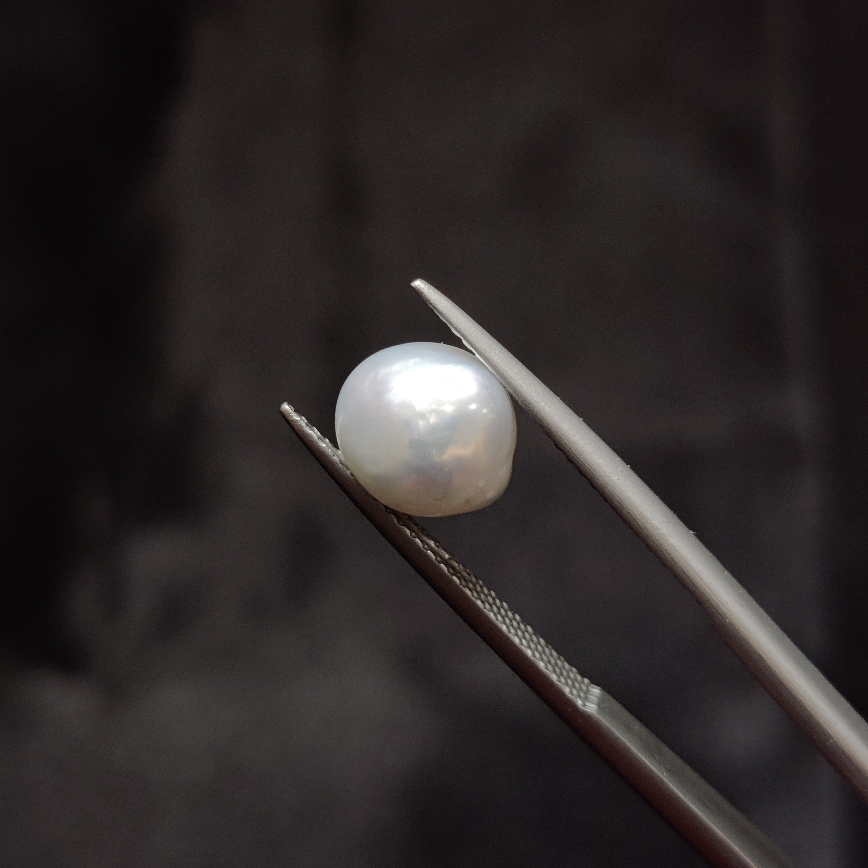 Pearl | Pearl 351 | 4.21 Carat