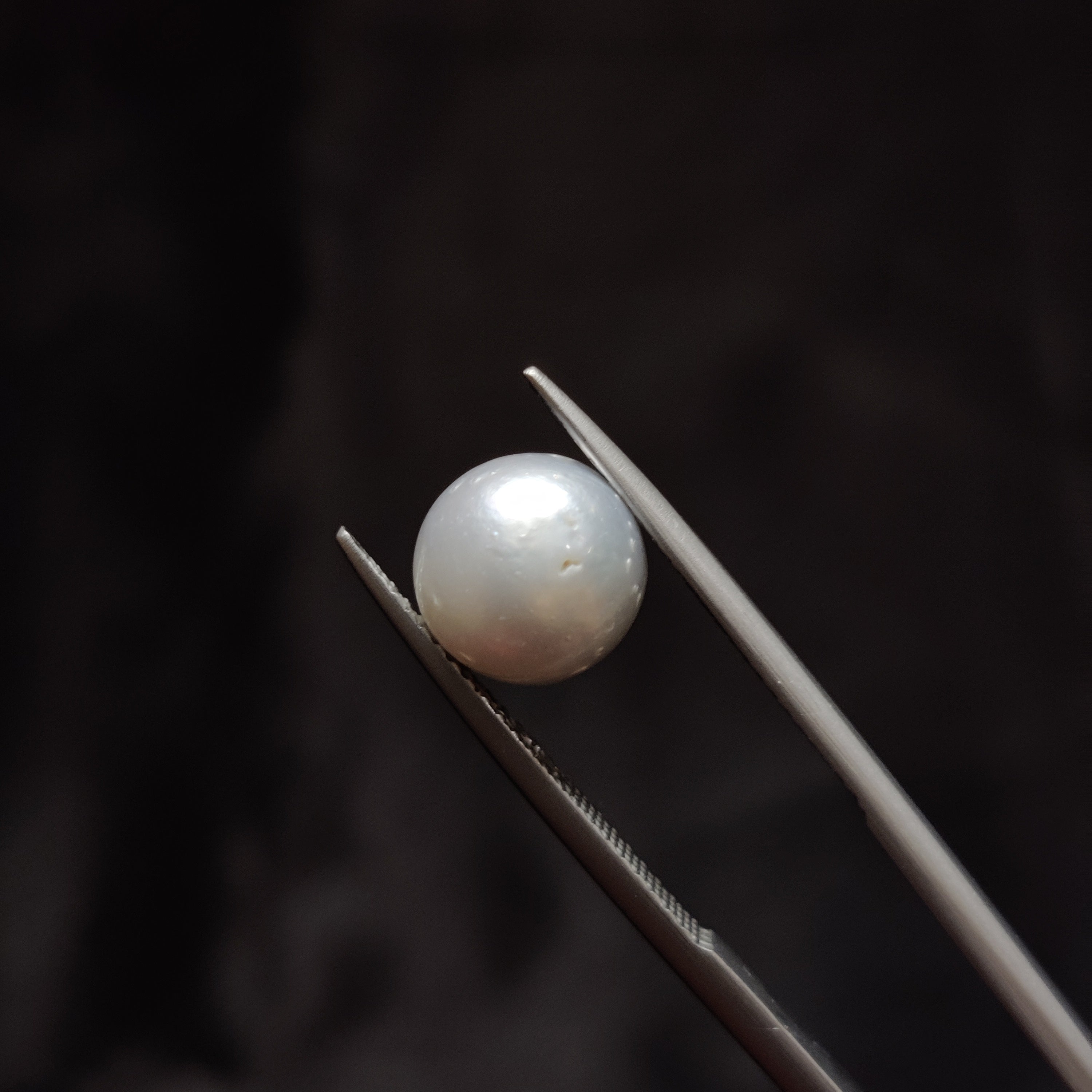 Pearl | Pearl 336 | 4.86 Carat