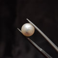 Pearl | Pearl 354 | 4.56 Carat