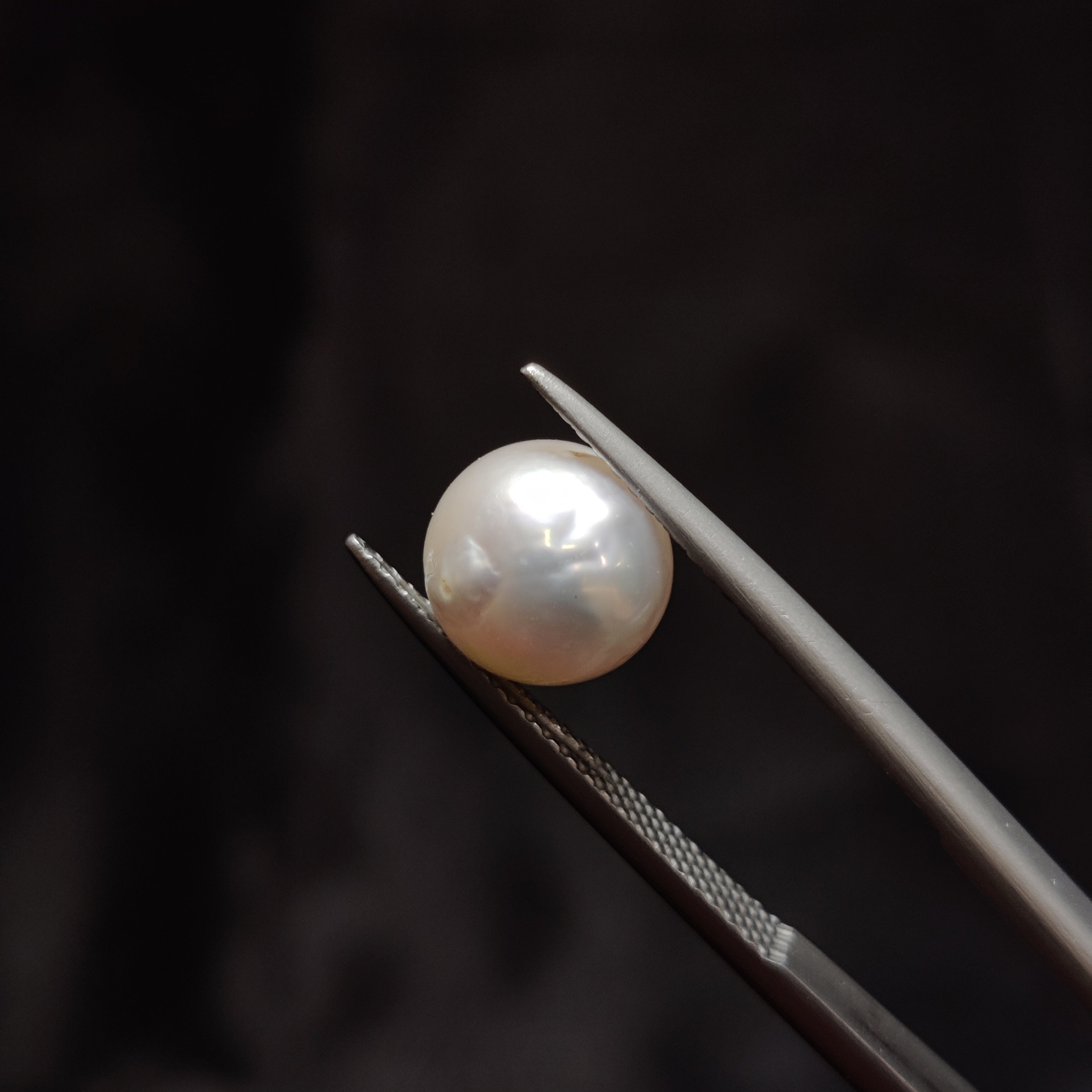 Pearl | Pearl 354 | 4.56 Carat