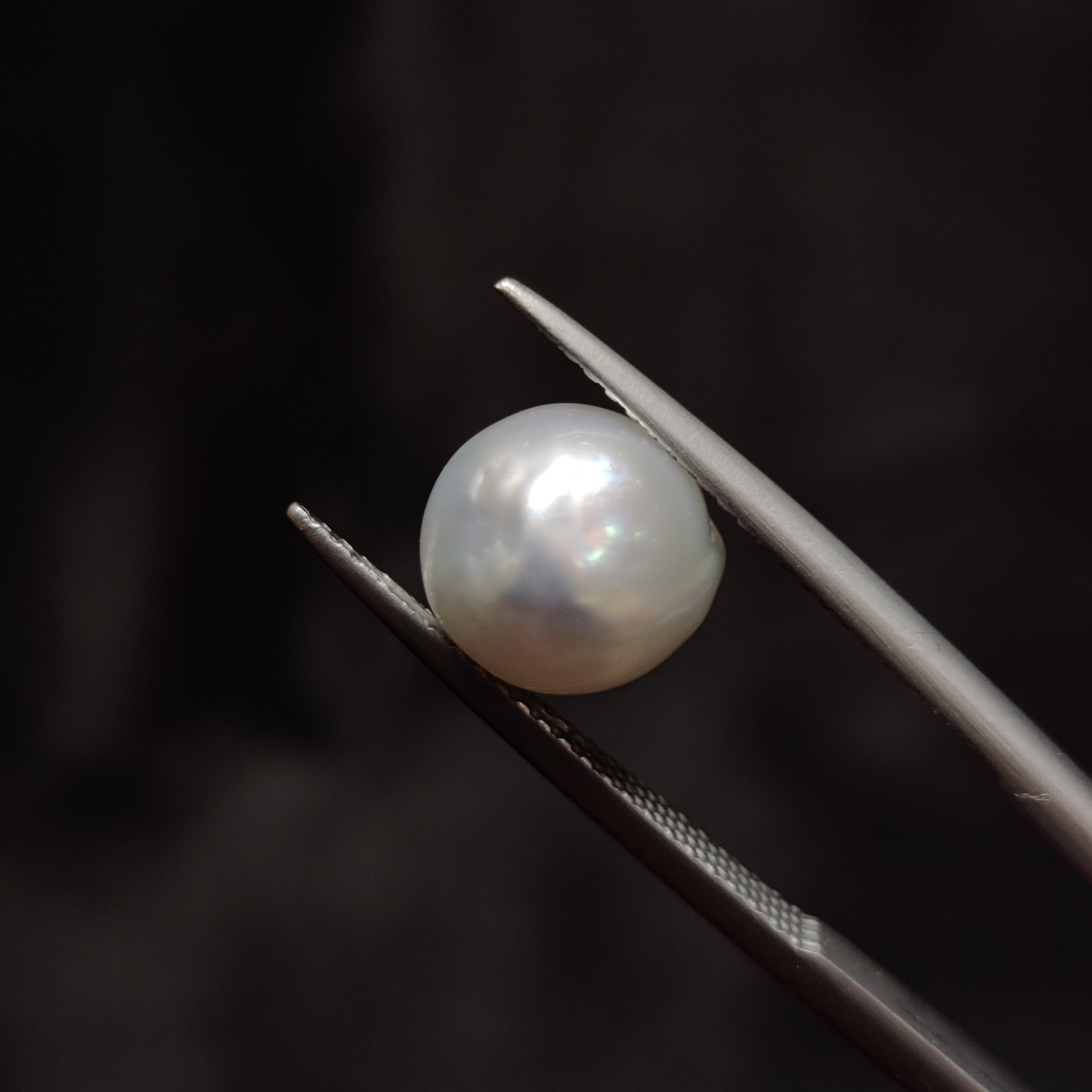 Pearl | Pearl 355 | 5.07 Carat