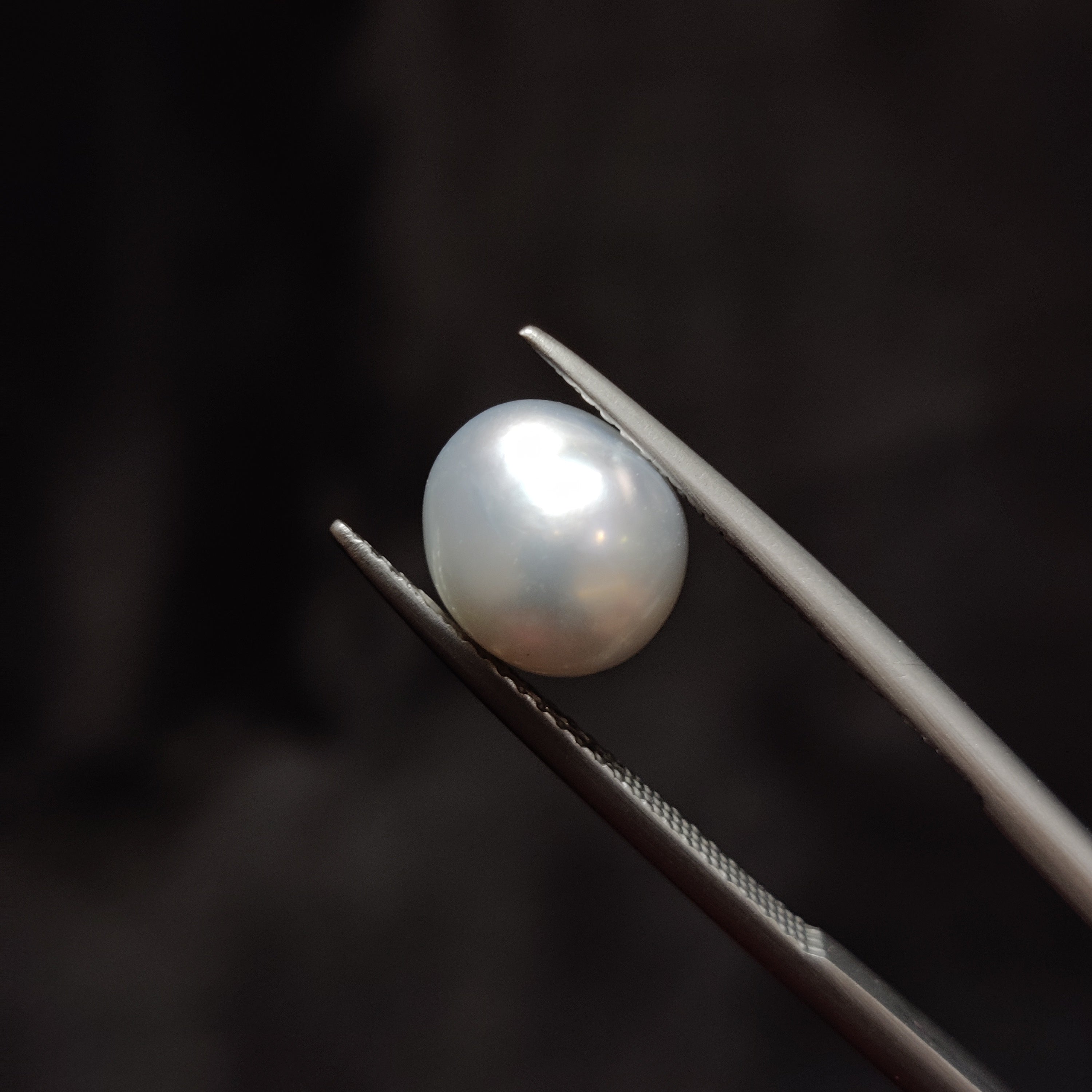 Pearl | Pearl 349 | 4.02 Carat