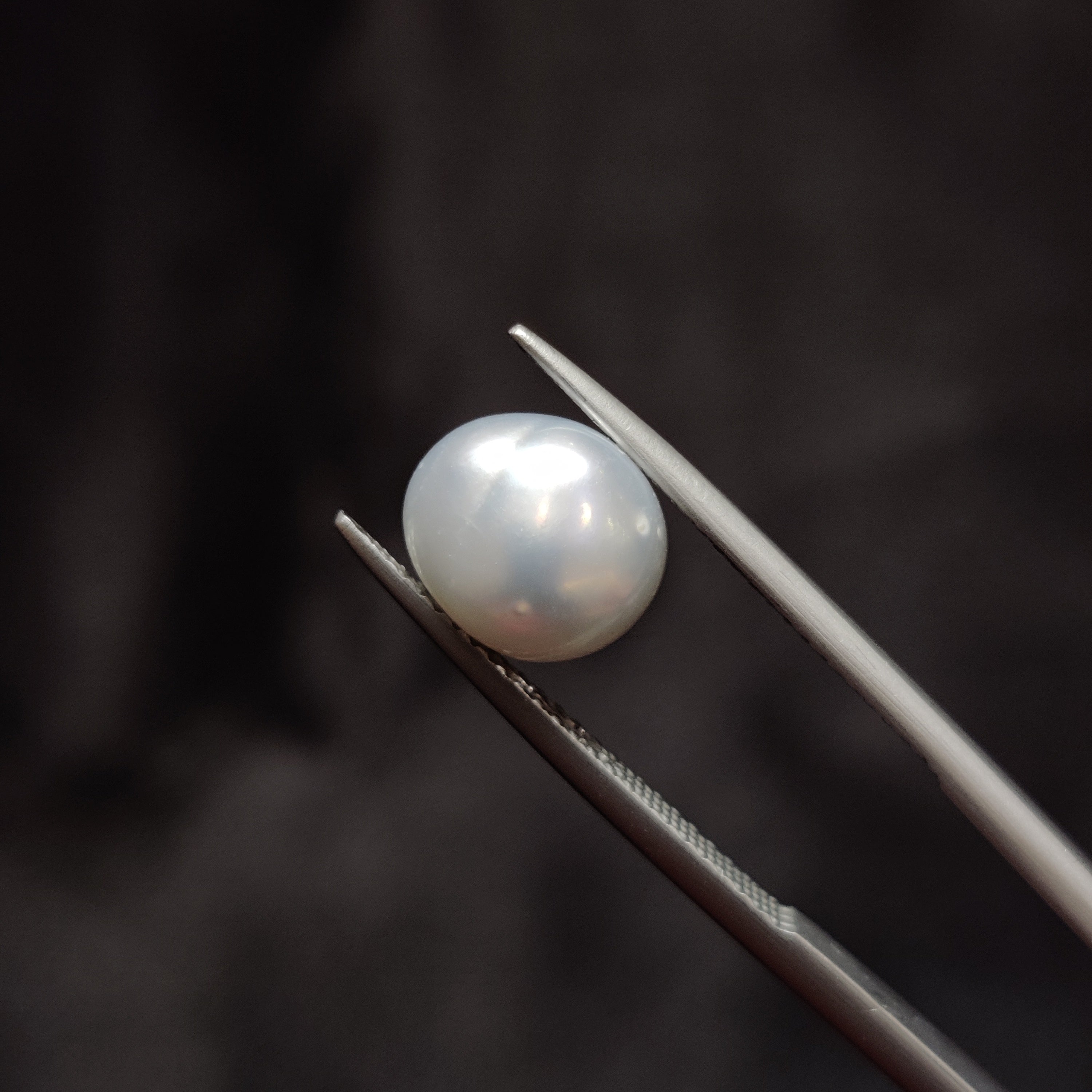 Pearl | Pearl 349 | 4.02 Carat