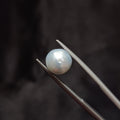 Pearl | Pearl 334 | 4.38 Carat