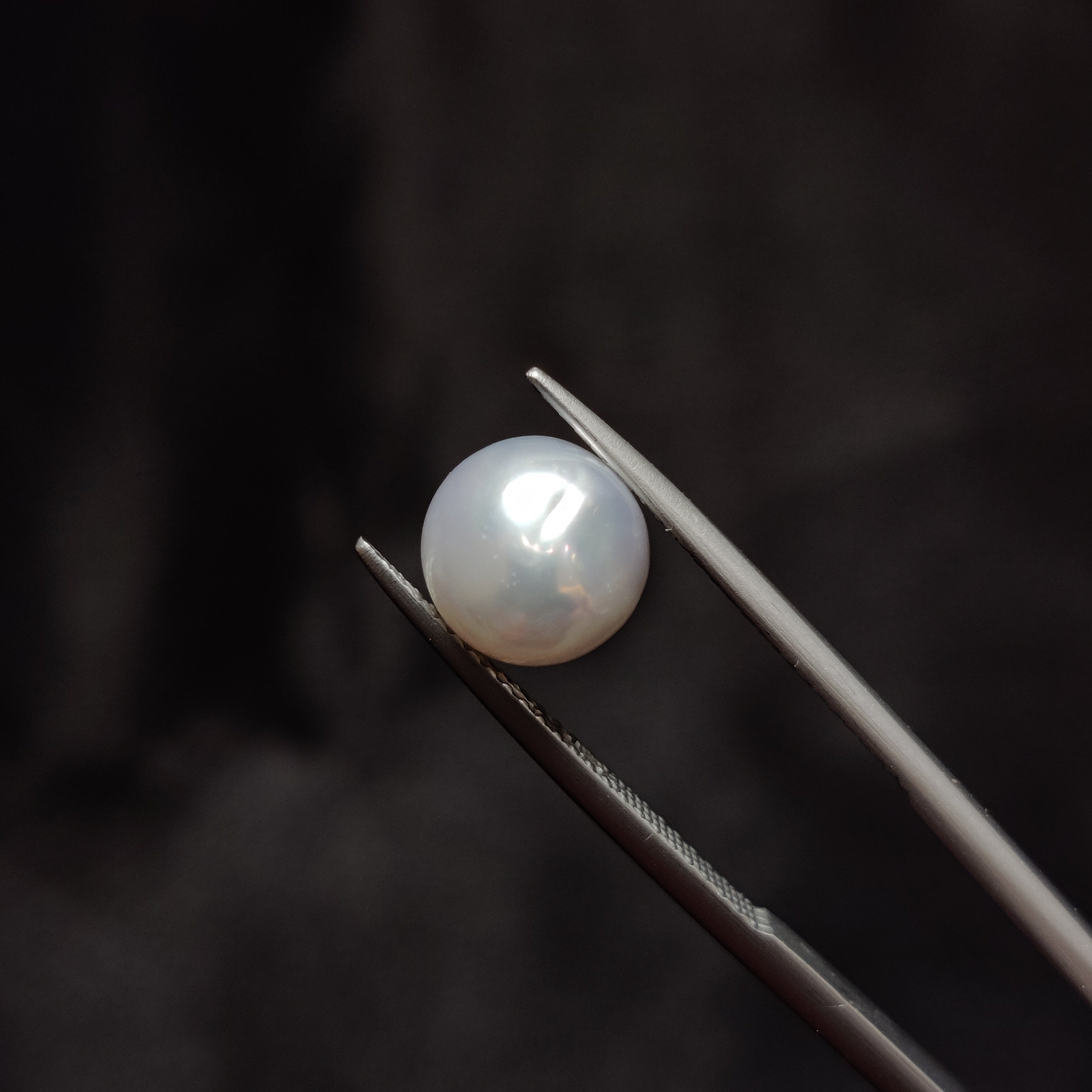 Pearl | Pearl 358 | 4.47 Carat