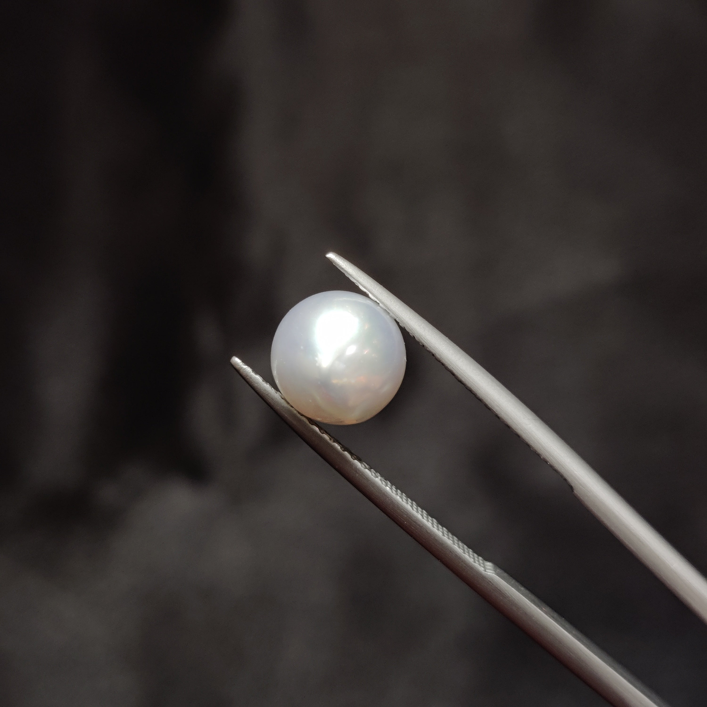 Pearl | Pearl 358 | 4.47 Carat