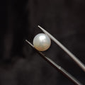 Pearl | Pearl 357 | 4.18 Carat