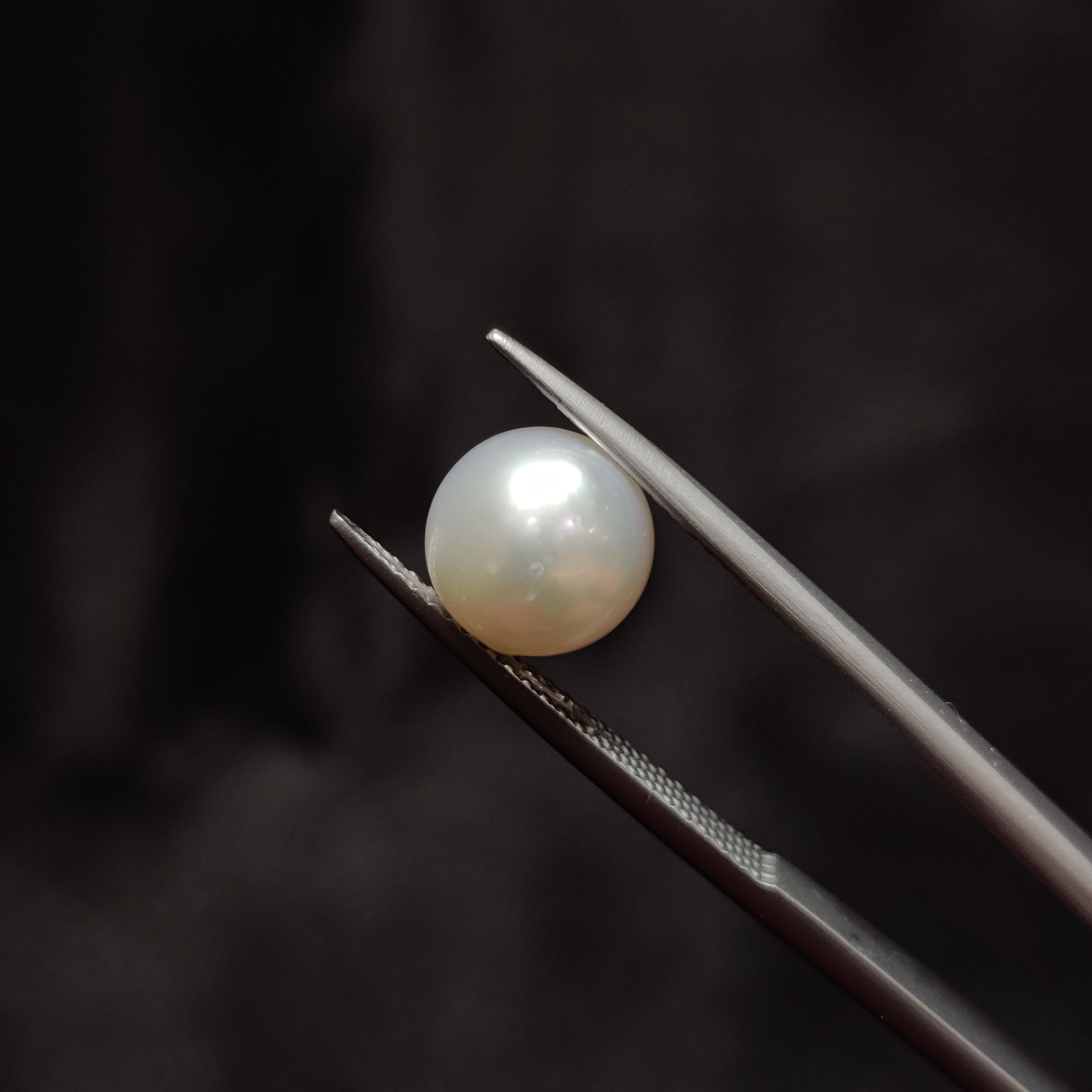 Pearl | Pearl 357 | 4.18 Carat