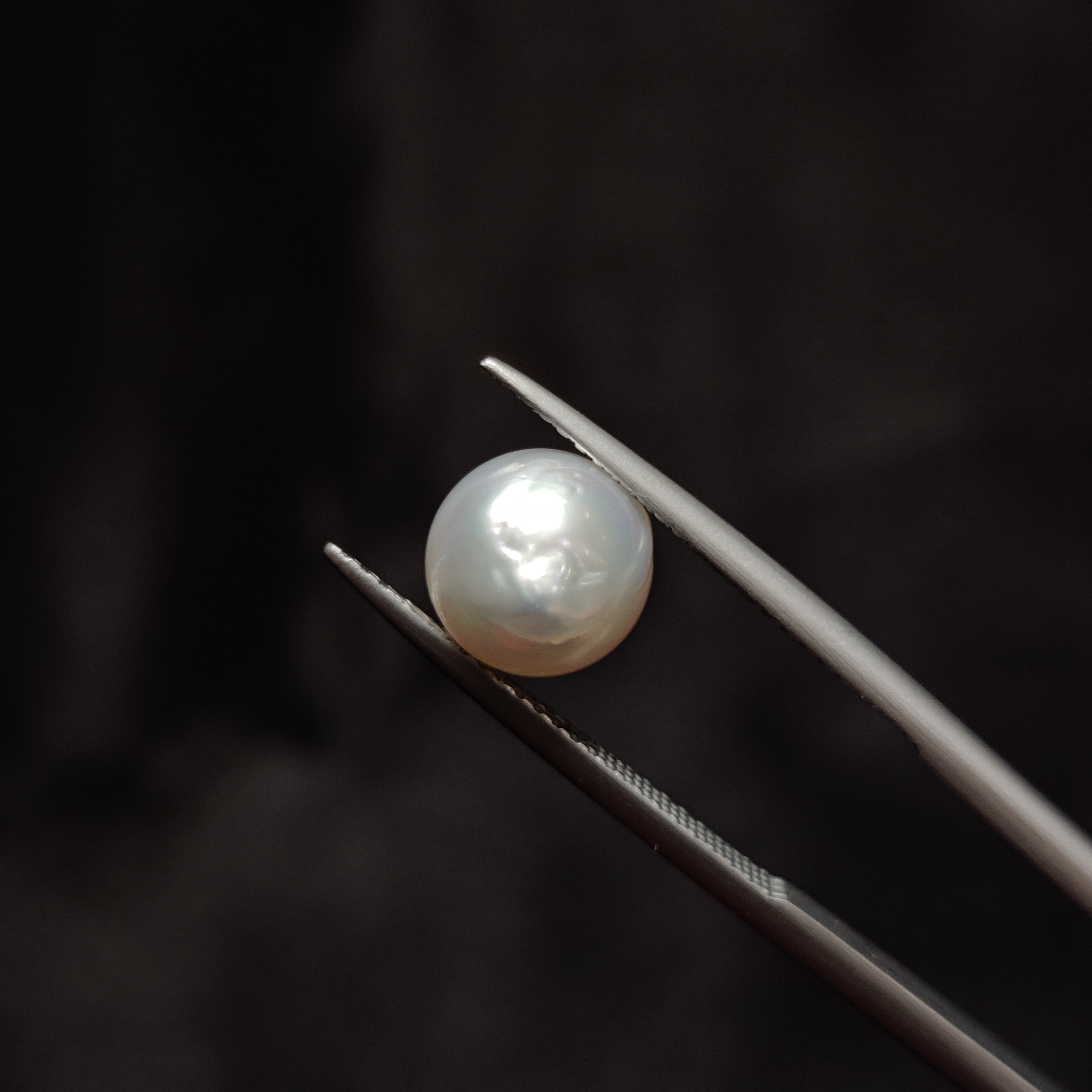 Pearl | Pearl 357 | 4.18 Carat