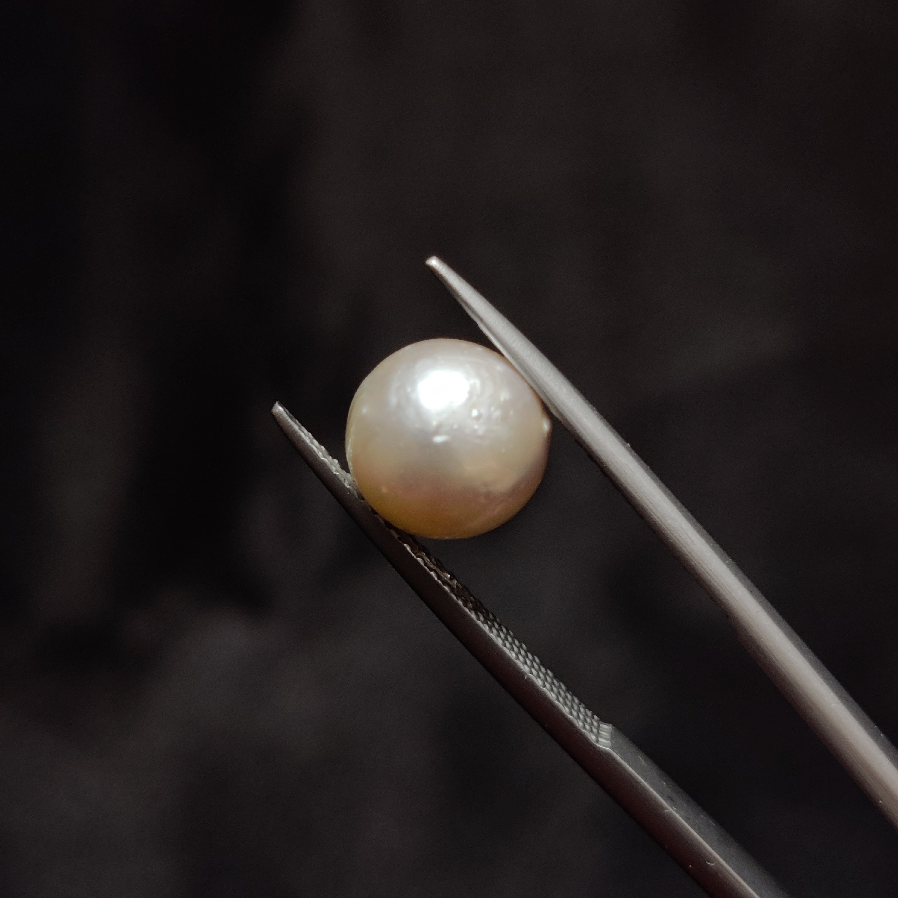 Pearl | Pearl 343 | 4.99 Carat