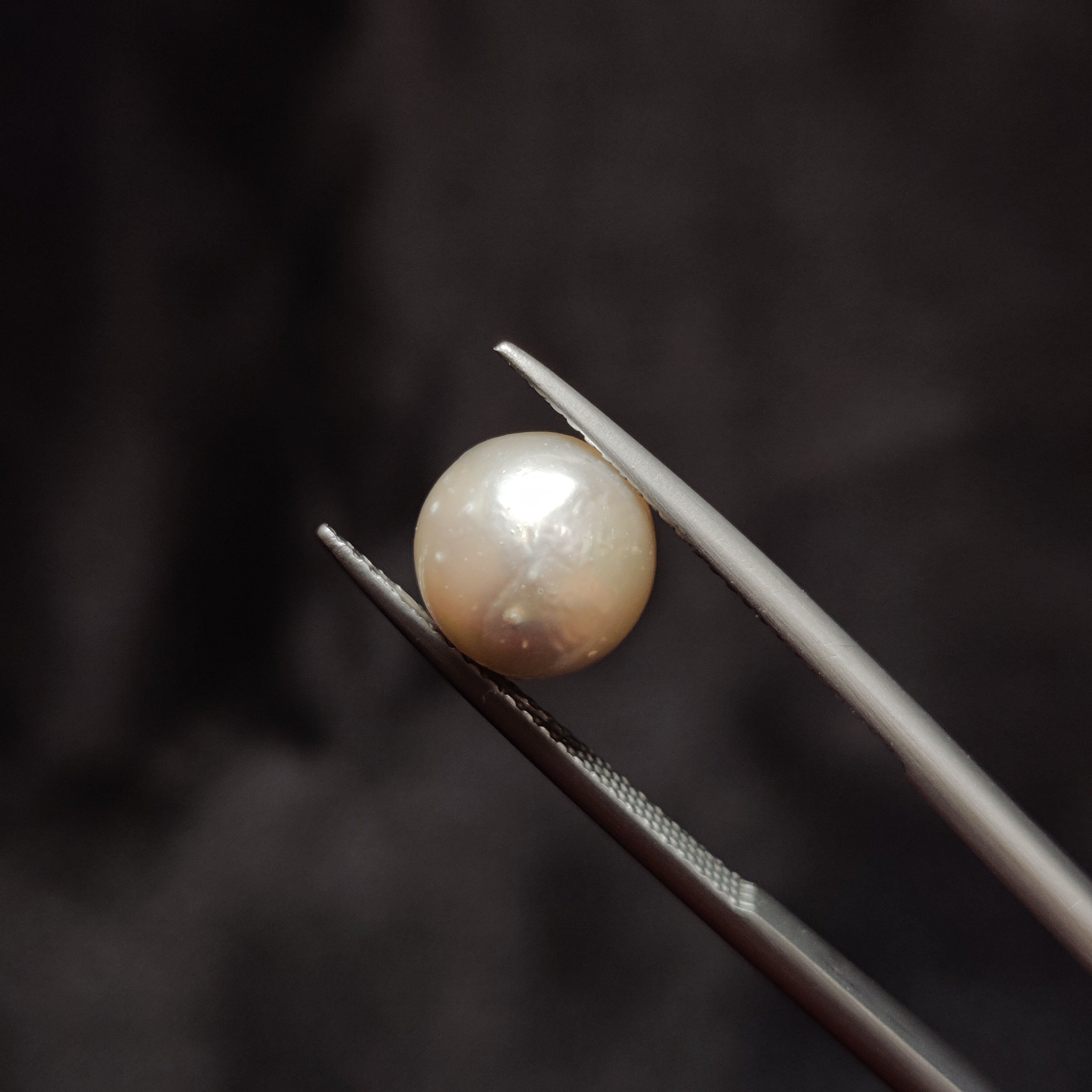 Pearl | Pearl 343 | 4.99 Carat