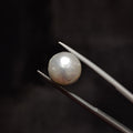 Pearl | Pearl 320 | 7.01 Carat