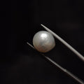 Pearl | Pearl 295 | 5.73 Carat