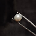 Pearl | Pearl 303 | 4.64 Carat