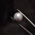 Pearl | Pearl 327 | 7.83 Carat