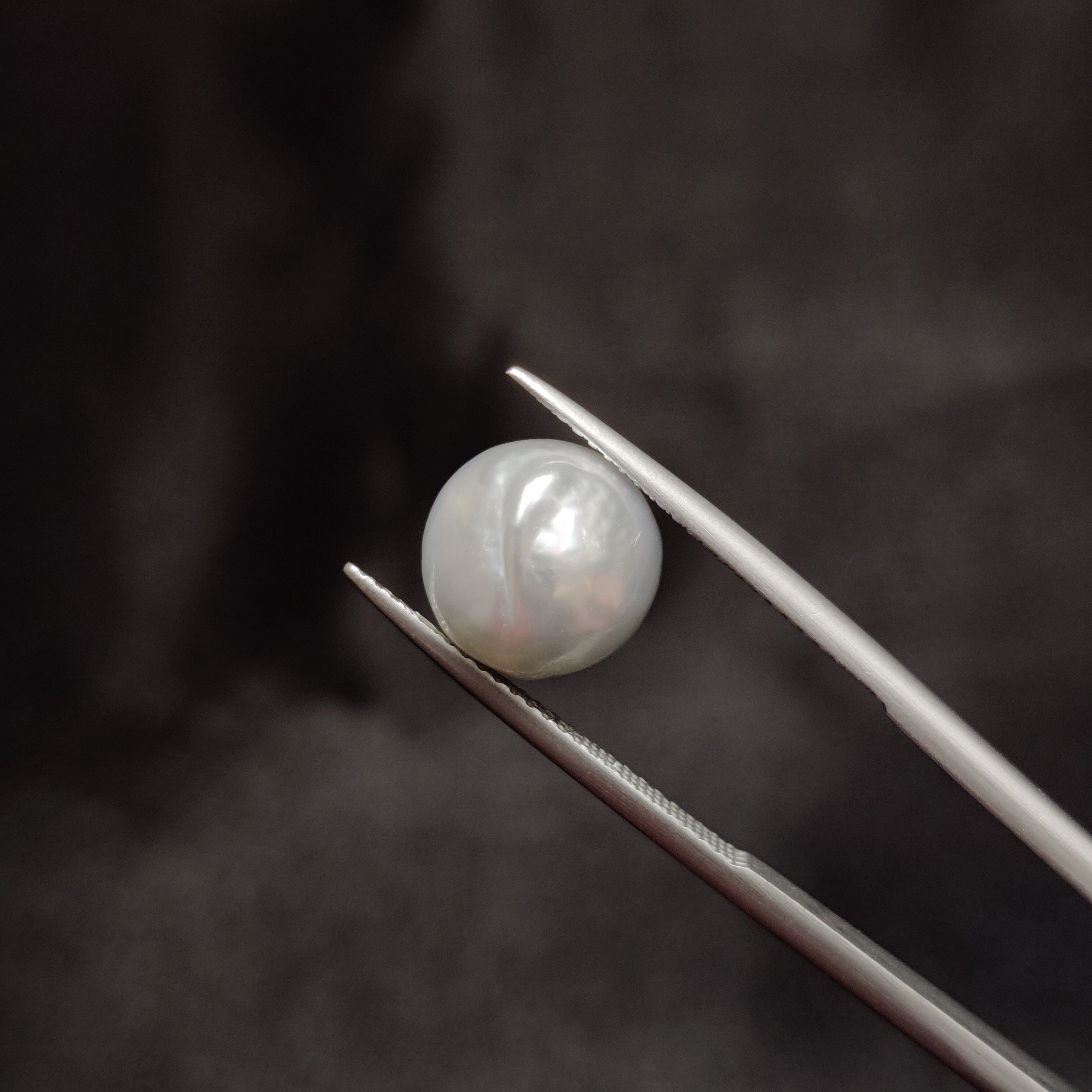 Pearl | Pearl 284 | 6.97 Carat