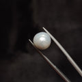 Pearl | Pearl 282 | 6.26 Carat