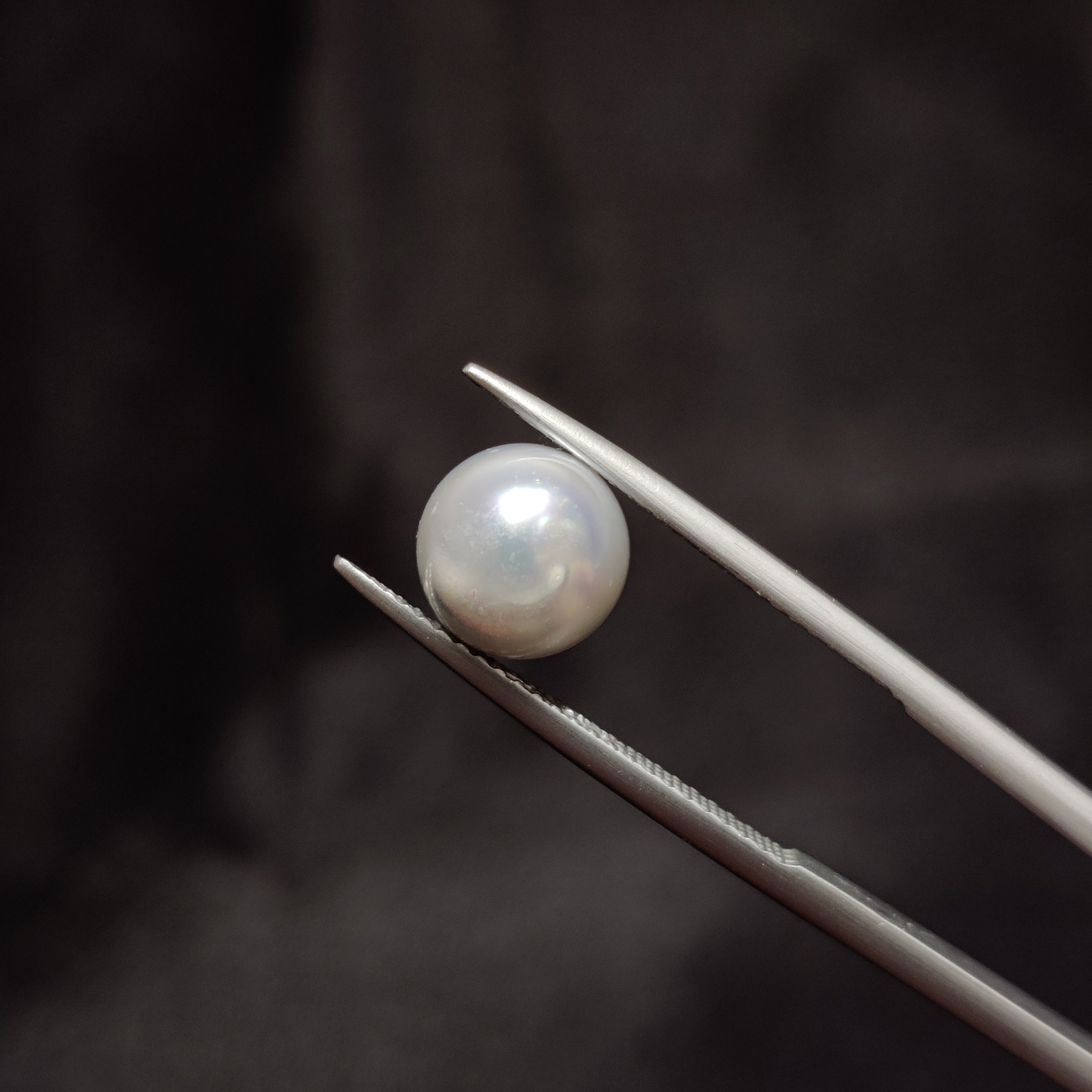 Pearl | Pearl 294 | 4.63 Carat