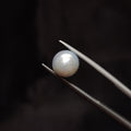 Pearl | Pearl 294 | 4.63 Carat