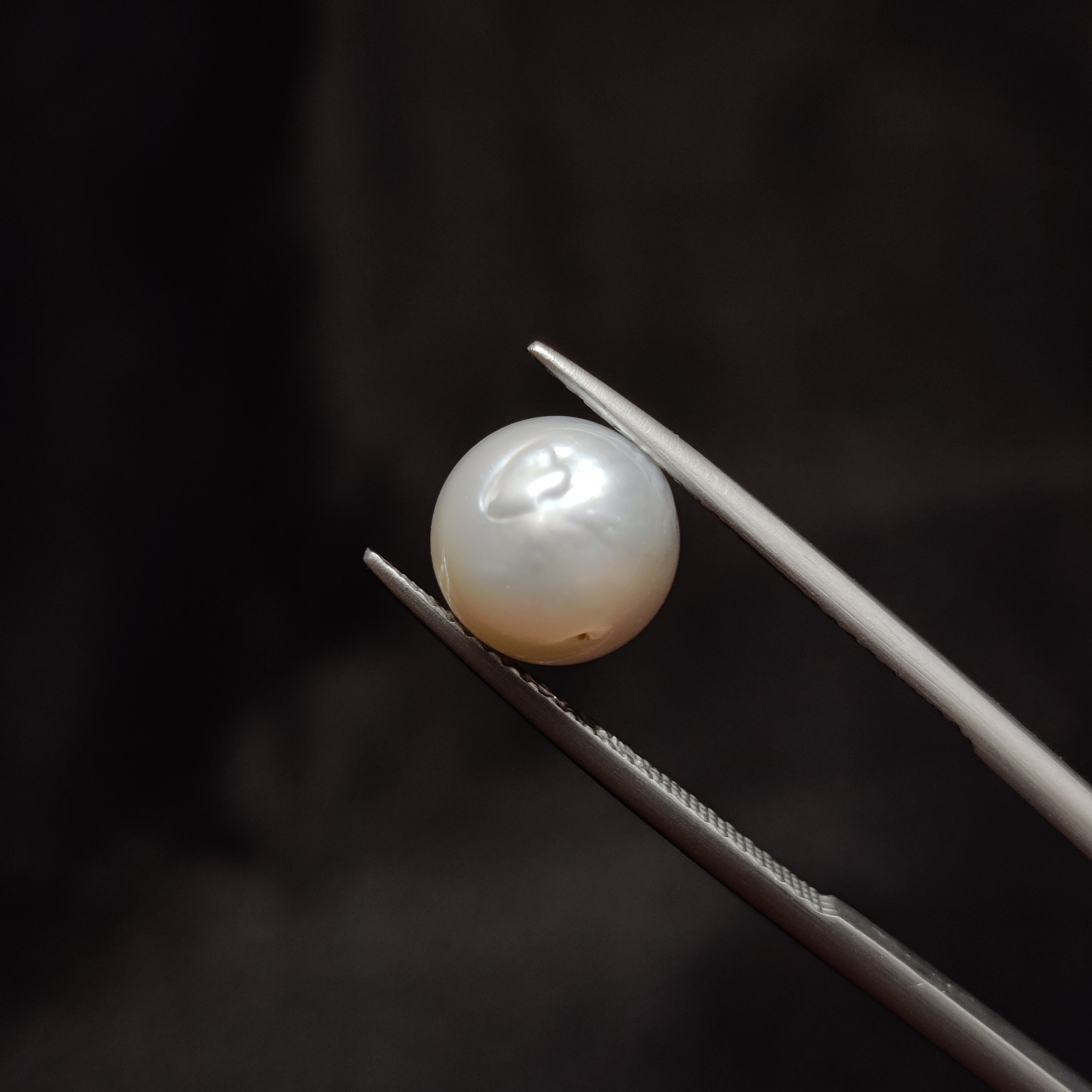 Pearl | Pearl 317 | 5.29 Carat