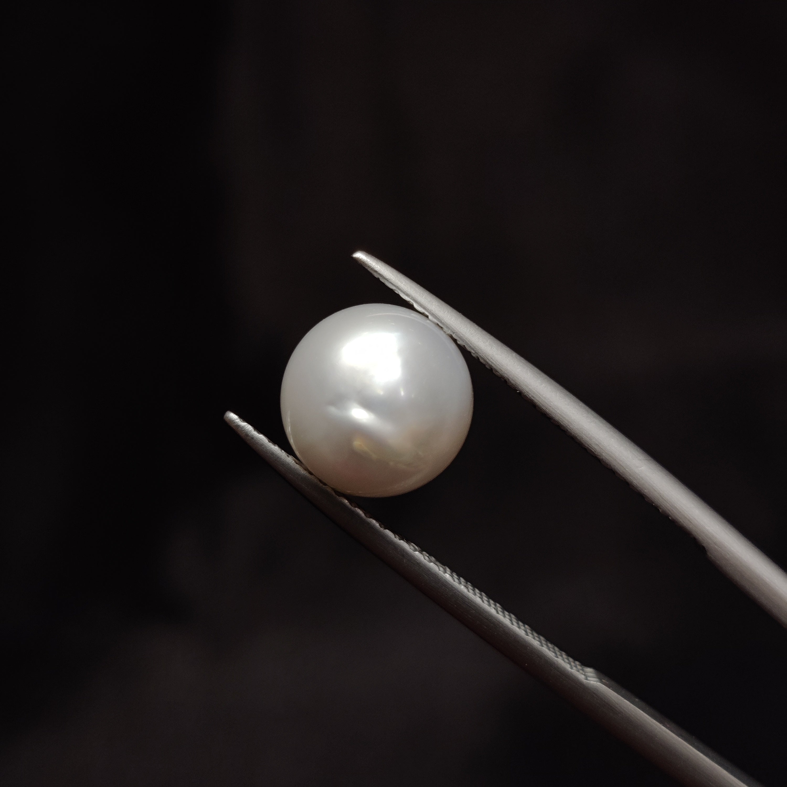 Pearl | Pearl 317 | 5.29 Carat