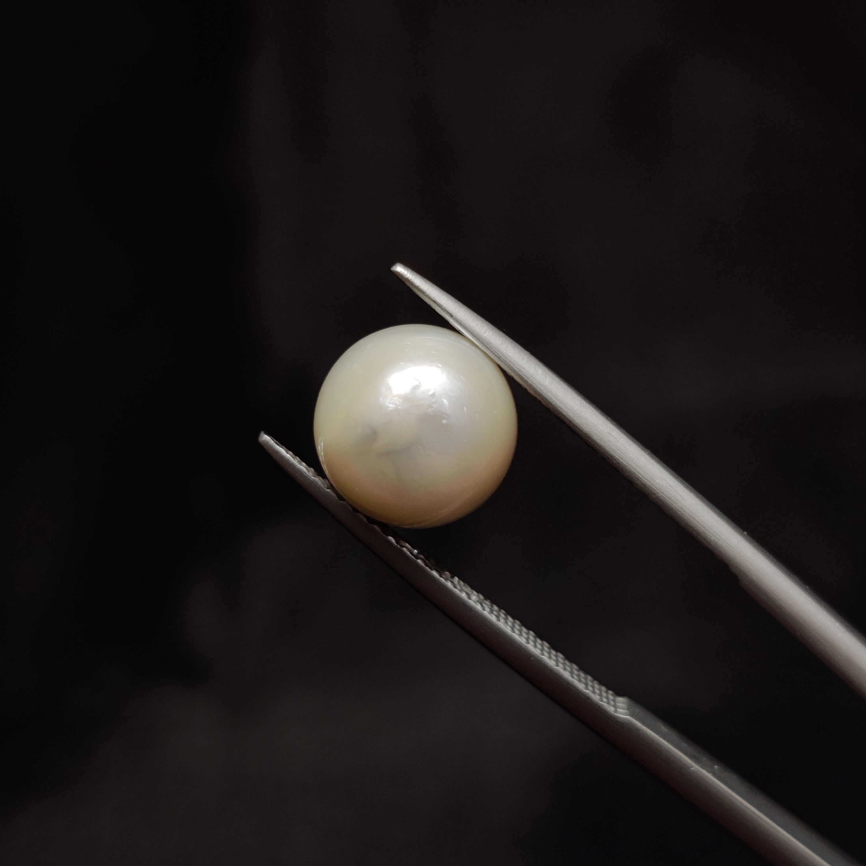 Pearl | Pearl 313 | 5.82 Carat