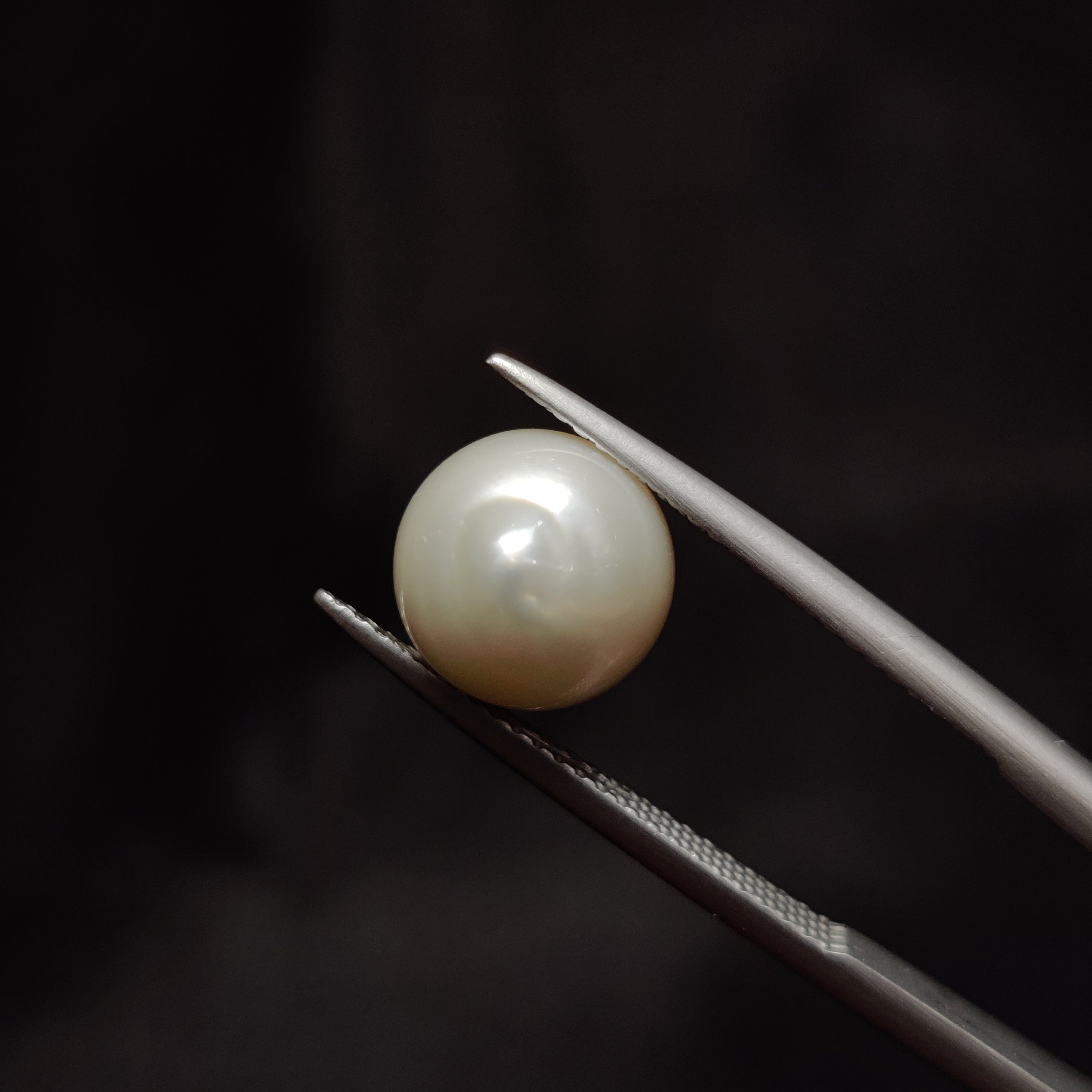 Pearl | Pearl 313 | 5.82 Carat